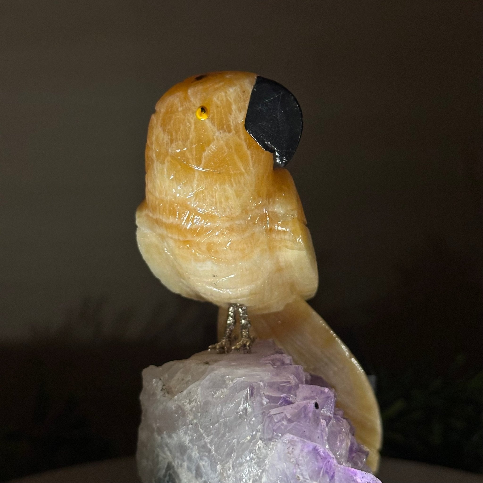 Medium Hand - Carved Yellow Calcite Parrot on an Amethyst Base, 6.8" Tall #3003 - YCPAM - 016 - Brazil GemsBrazil GemsMedium Hand - Carved Yellow Calcite Parrot on an Amethyst Base, 6.8" Tall #3003 - YCPAM - 016Crystal Birds3003 - YCPAM - 016