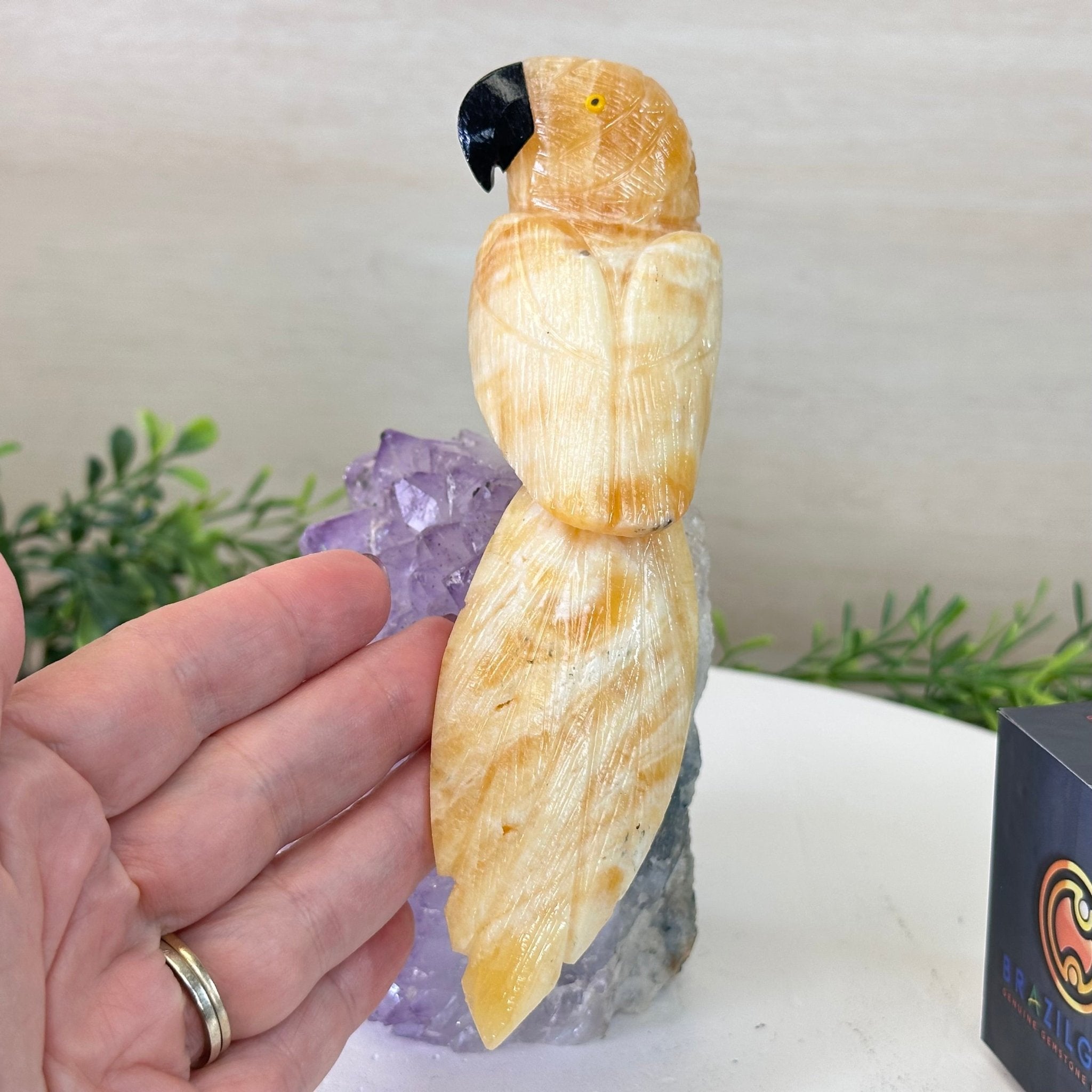 Medium Hand - Carved Yellow Calcite Parrot on an Amethyst Base, 6.8" Tall #3003 - YCPAM - 016 - Brazil GemsBrazil GemsMedium Hand - Carved Yellow Calcite Parrot on an Amethyst Base, 6.8" Tall #3003 - YCPAM - 016Crystal Birds3003 - YCPAM - 016