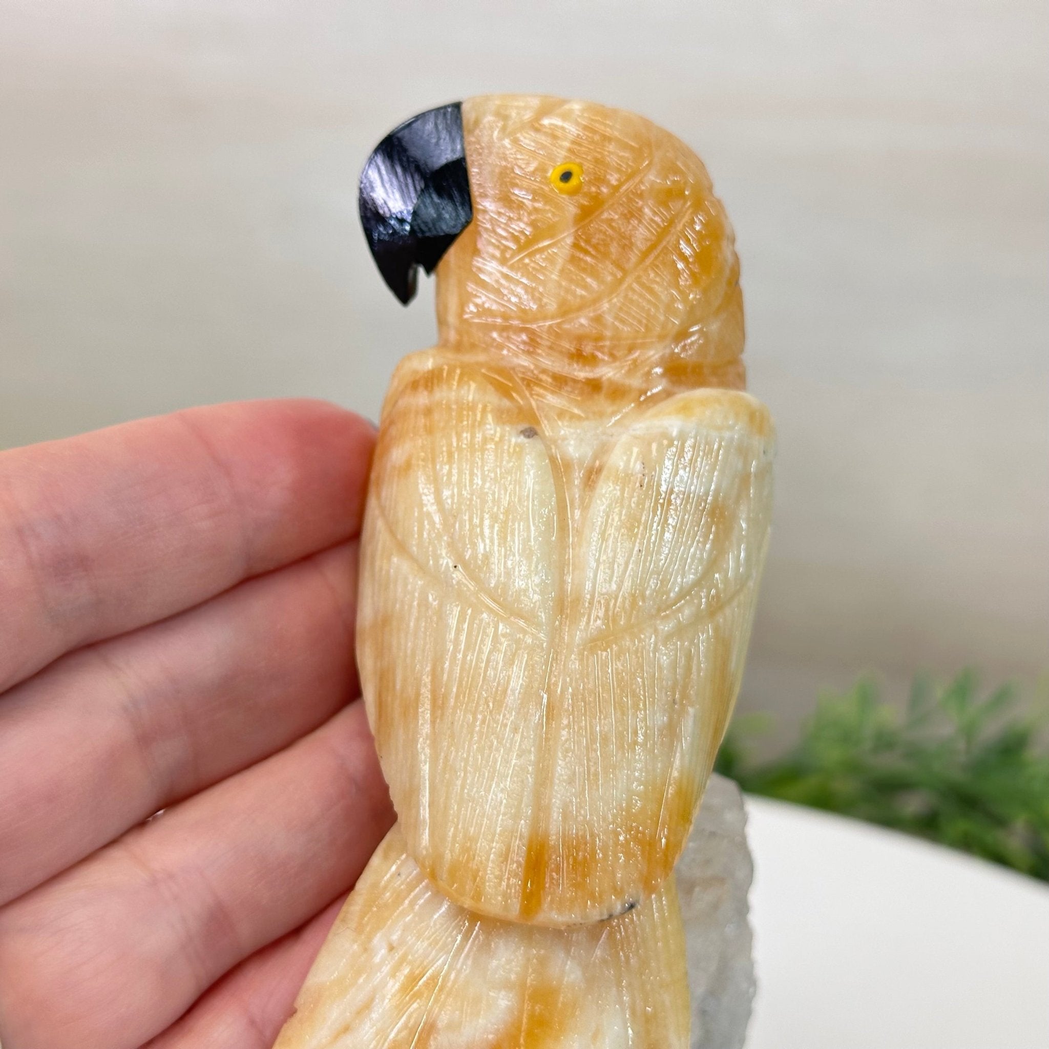 Medium Hand - Carved Yellow Calcite Parrot on an Amethyst Base, 6.8" Tall #3003 - YCPAM - 016 - Brazil GemsBrazil GemsMedium Hand - Carved Yellow Calcite Parrot on an Amethyst Base, 6.8" Tall #3003 - YCPAM - 016Crystal Birds3003 - YCPAM - 016