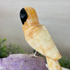 Medium Hand - Carved Yellow Calcite Parrot on an Amethyst Base, 6.8" Tall #3003 - YCPAM - 016 - Brazil GemsBrazil GemsMedium Hand - Carved Yellow Calcite Parrot on an Amethyst Base, 6.8" Tall #3003 - YCPAM - 016Crystal Birds3003 - YCPAM - 016