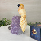 Medium Hand - Carved Yellow Calcite Parrot on an Amethyst Base, 6.8" Tall #3003 - YCPAM - 016 - Brazil GemsBrazil GemsMedium Hand - Carved Yellow Calcite Parrot on an Amethyst Base, 6.8" Tall #3003 - YCPAM - 016Crystal Birds3003 - YCPAM - 016