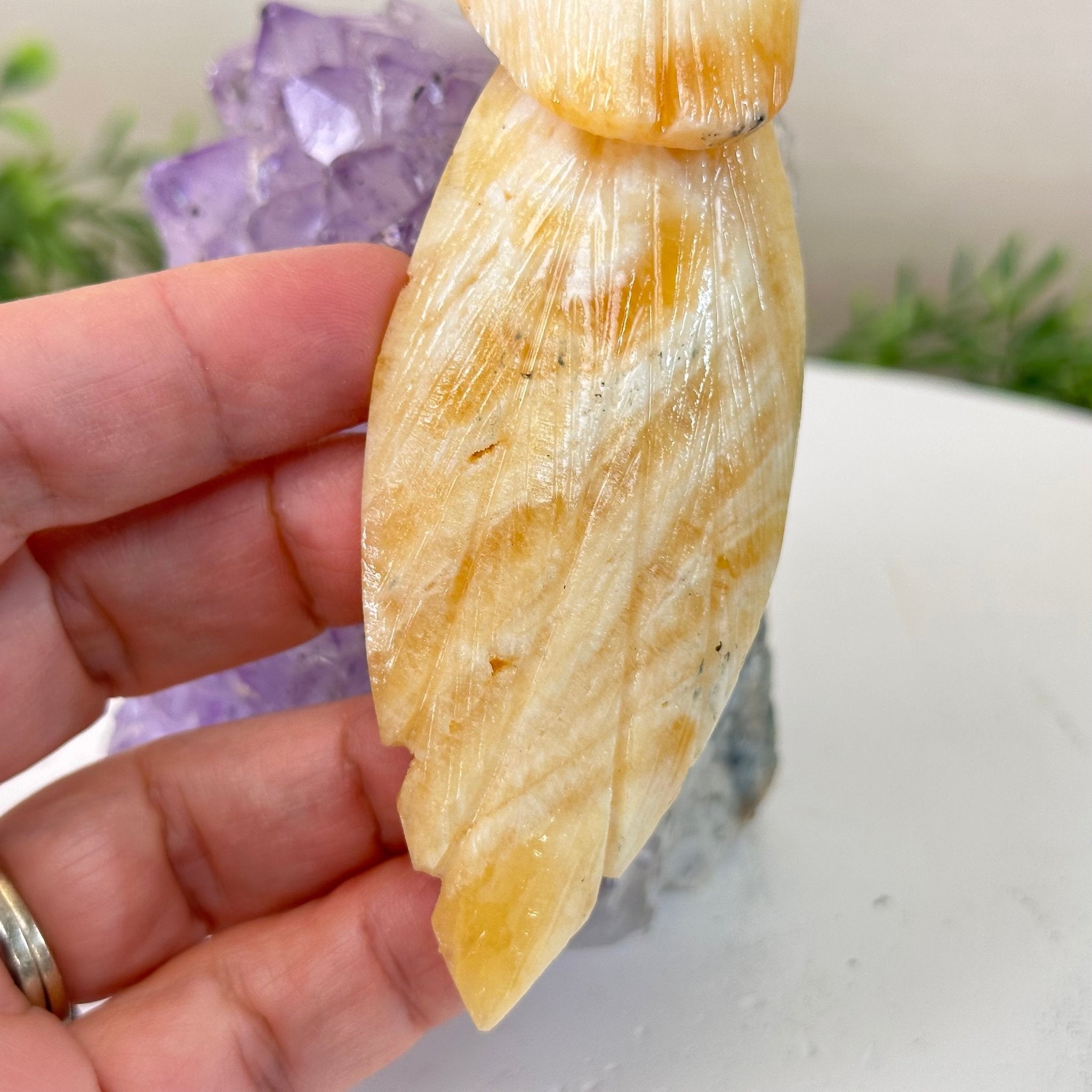 Medium Hand - Carved Yellow Calcite Parrot on an Amethyst Base, 6.8" Tall #3003 - YCPAM - 016 - Brazil GemsBrazil GemsMedium Hand - Carved Yellow Calcite Parrot on an Amethyst Base, 6.8" Tall #3003 - YCPAM - 016Crystal Birds3003 - YCPAM - 016