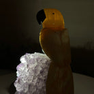 Medium Hand - Carved Yellow Calcite Parrot on an Amethyst Base, 6.8" Tall #3003 - YCPAM - 016 - Brazil GemsBrazil GemsMedium Hand - Carved Yellow Calcite Parrot on an Amethyst Base, 6.8" Tall #3003 - YCPAM - 016Crystal Birds3003 - YCPAM - 016