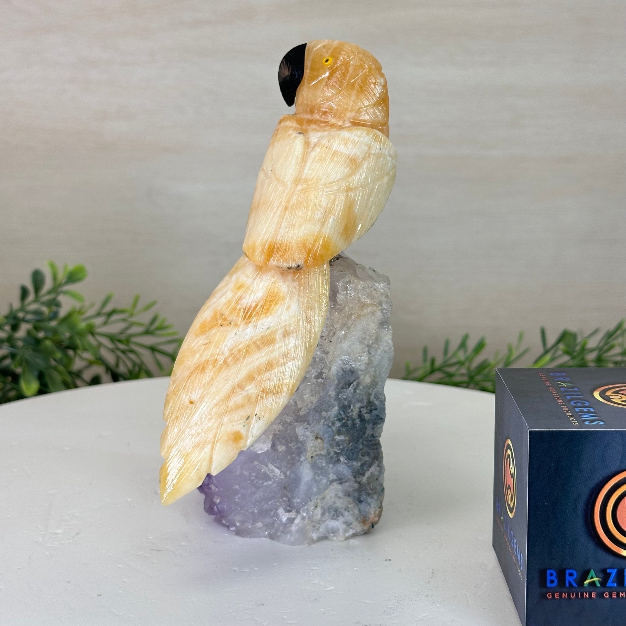 Medium Hand - Carved Yellow Calcite Parrot on an Amethyst Base, 6.8" Tall #3003 - YCPAM - 016 - Brazil GemsBrazil GemsMedium Hand - Carved Yellow Calcite Parrot on an Amethyst Base, 6.8" Tall #3003 - YCPAM - 016Crystal Birds3003 - YCPAM - 016