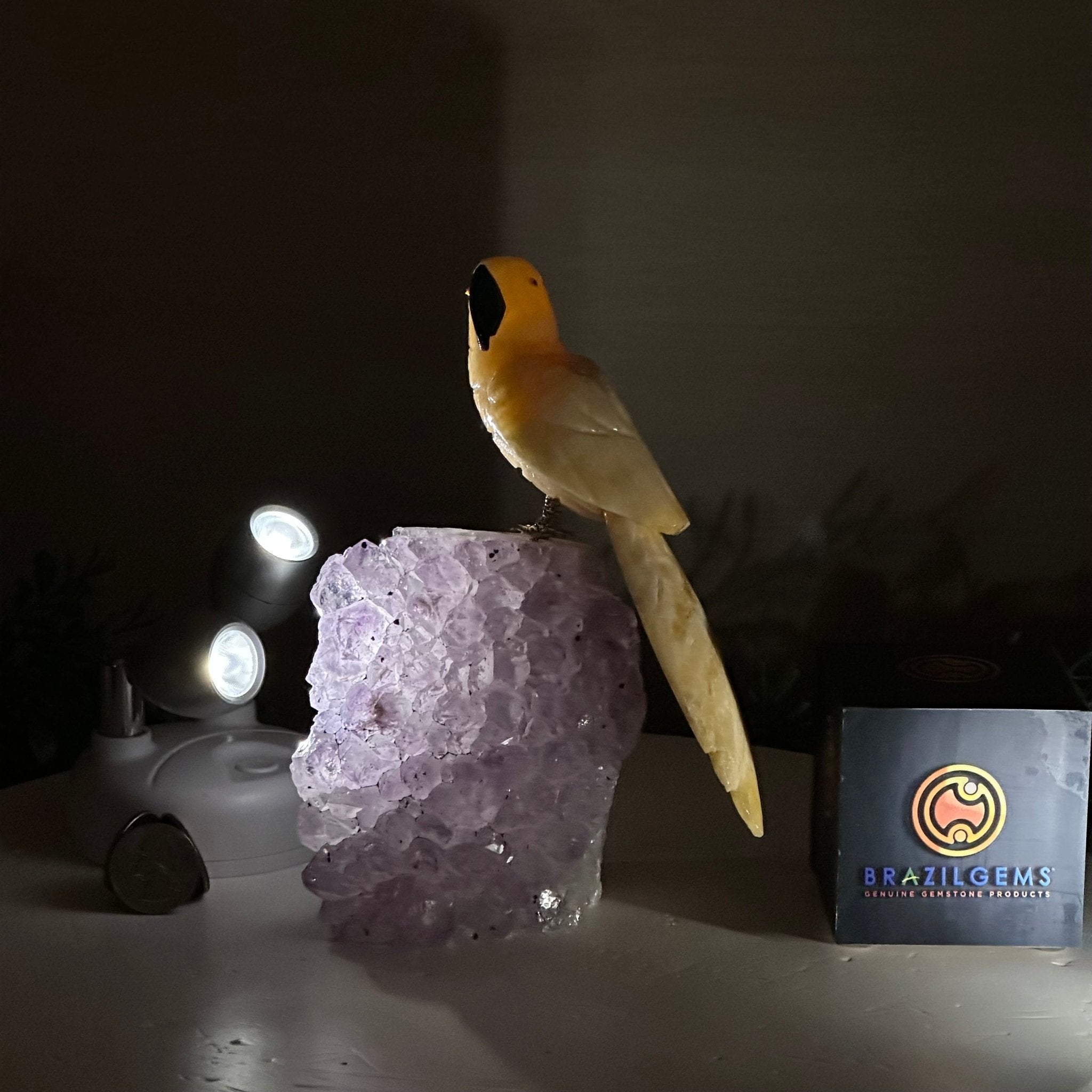 Medium Hand - Carved Yellow Calcite Parrot on an Amethyst Base, 6.8" Tall #3003 - YCPAM - 016 - Brazil GemsBrazil GemsMedium Hand - Carved Yellow Calcite Parrot on an Amethyst Base, 6.8" Tall #3003 - YCPAM - 016Crystal Birds3003 - YCPAM - 016