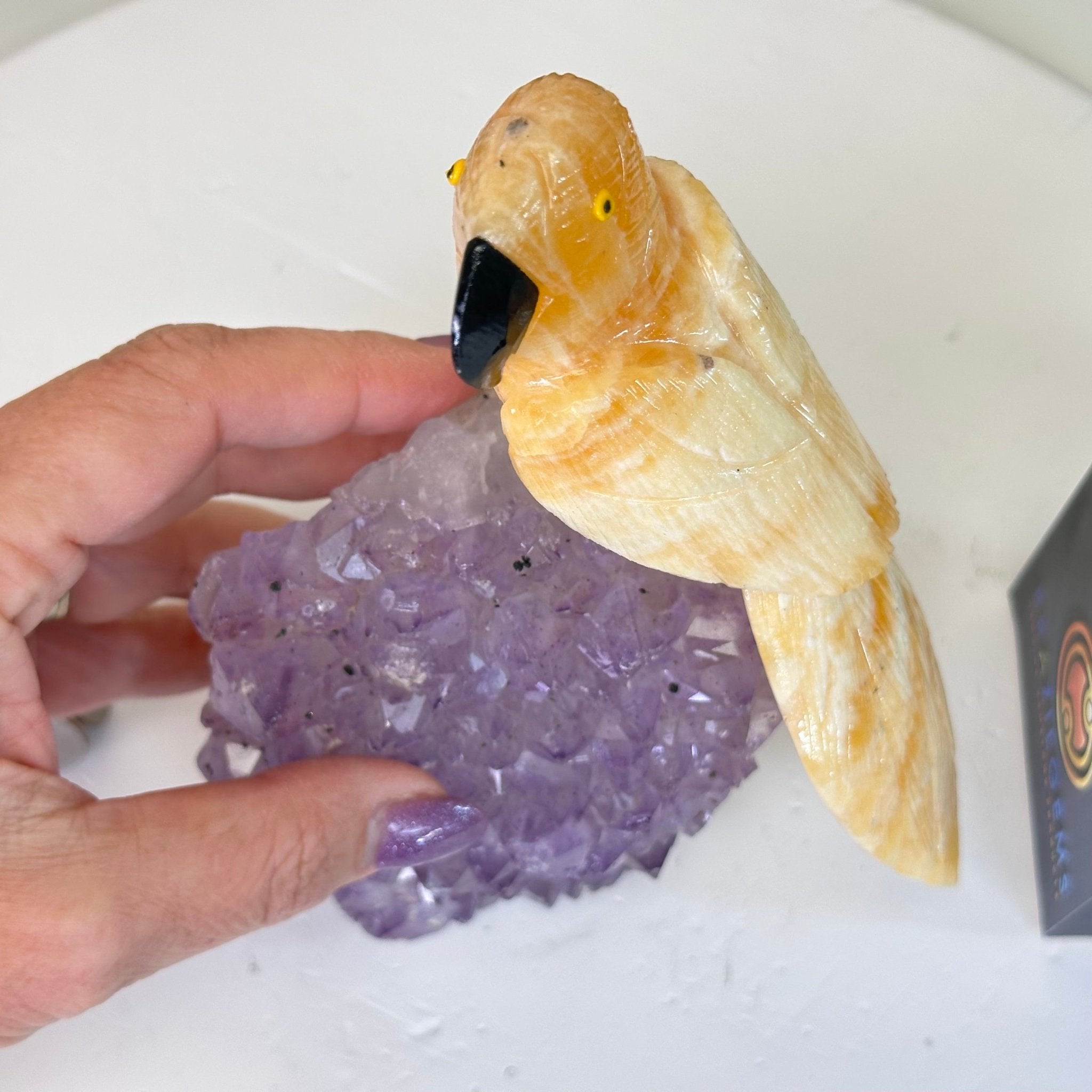 Medium Hand - Carved Yellow Calcite Parrot on an Amethyst Base, 6.8" Tall #3003 - YCPAM - 016 - Brazil GemsBrazil GemsMedium Hand - Carved Yellow Calcite Parrot on an Amethyst Base, 6.8" Tall #3003 - YCPAM - 016Crystal Birds3003 - YCPAM - 016