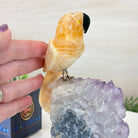 Medium Hand - Carved Yellow Calcite Parrot on an Amethyst Base, 6.8" Tall #3003 - YCPAM - 016 - Brazil GemsBrazil GemsMedium Hand - Carved Yellow Calcite Parrot on an Amethyst Base, 6.8" Tall #3003 - YCPAM - 016Crystal Birds3003 - YCPAM - 016