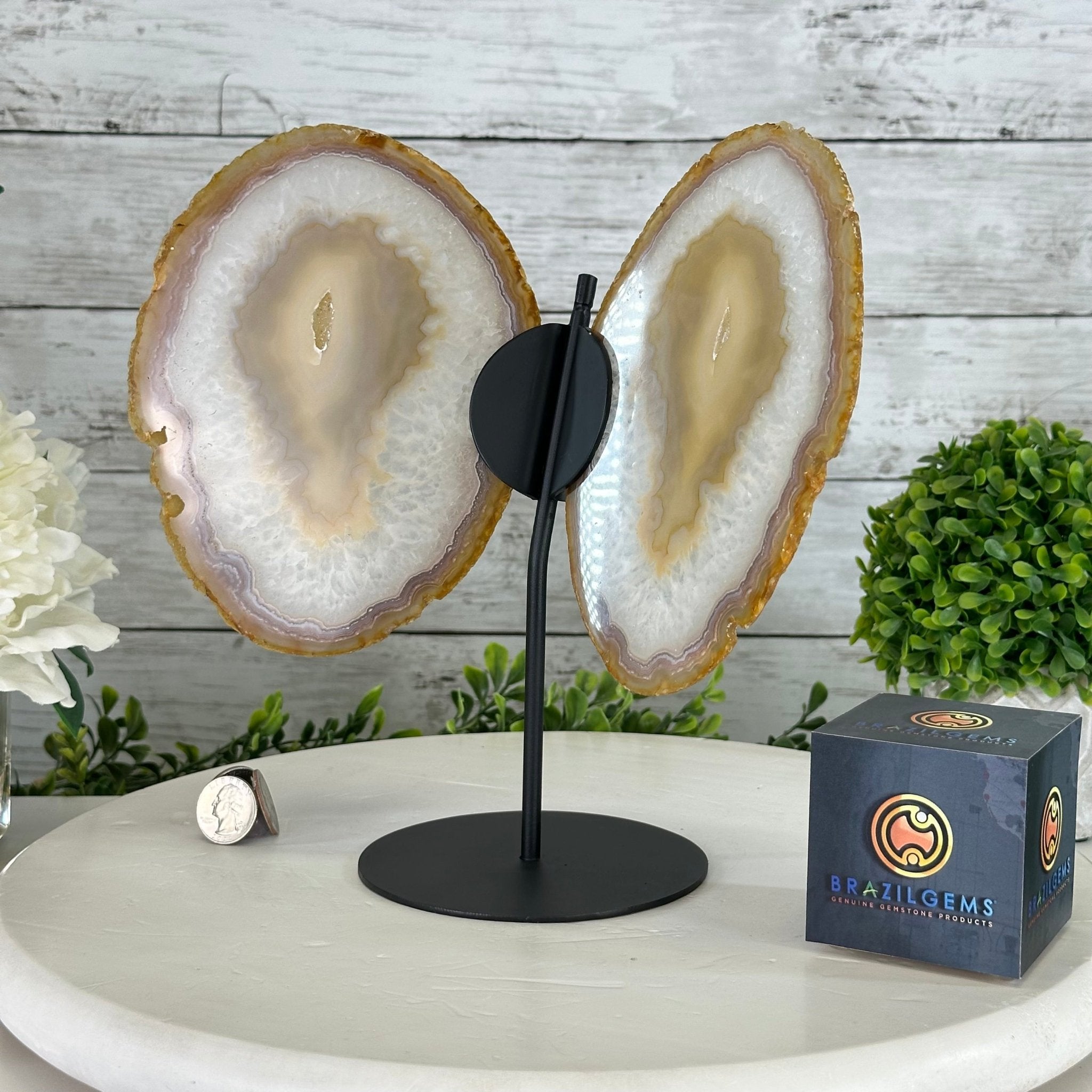 Natural Brazilian Agate "Butterfly Wings", 10.1" Tall #5050NA-121 - Brazil GemsBrazil GemsNatural Brazilian Agate "Butterfly Wings", 10.1" Tall #5050NA-121Agate Butterfly Wings5050NA-121