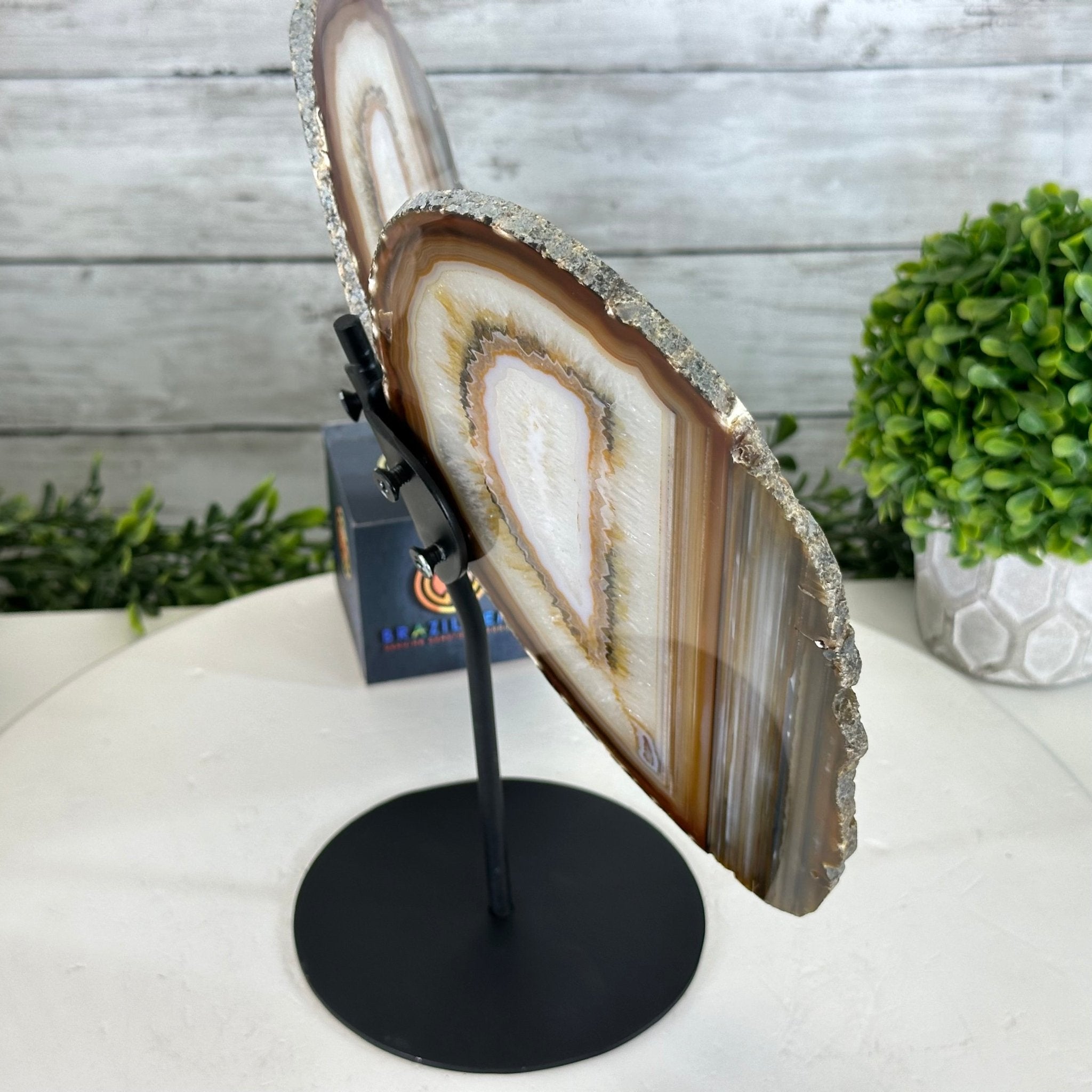 Natural Brazilian Agate "Butterfly Wings", 10.1" Tall #5050NA-130 - Brazil GemsBrazil GemsNatural Brazilian Agate "Butterfly Wings", 10.1" Tall #5050NA-130Agate Butterfly Wings5050NA-130