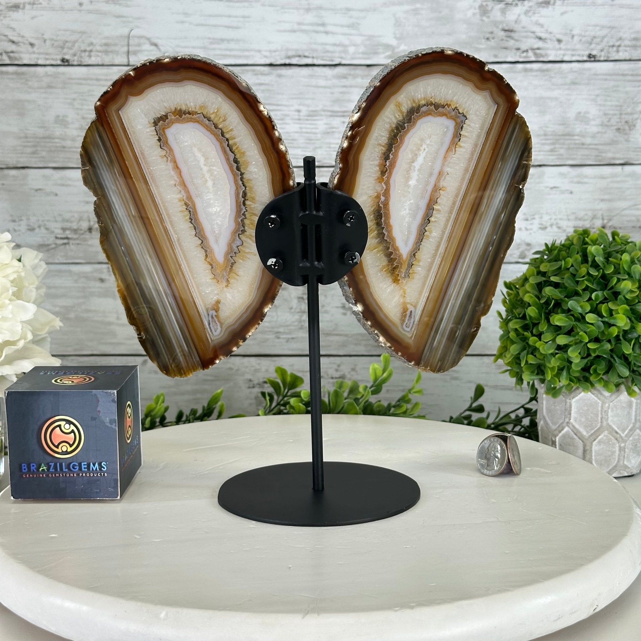 Natural Brazilian Agate "Butterfly Wings", 10.1" Tall #5050NA-130 - Brazil GemsBrazil GemsNatural Brazilian Agate "Butterfly Wings", 10.1" Tall #5050NA-130Agate Butterfly Wings5050NA-130