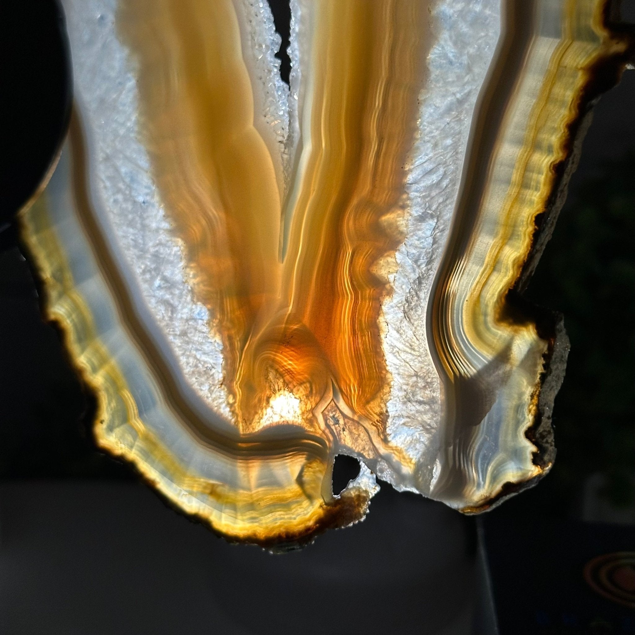 Natural Brazilian Agate "Butterfly Wings", 10.4" Tall #5050NA-118 - Brazil GemsBrazil GemsNatural Brazilian Agate "Butterfly Wings", 10.4" Tall #5050NA-118Agate Butterfly Wings5050NA-118