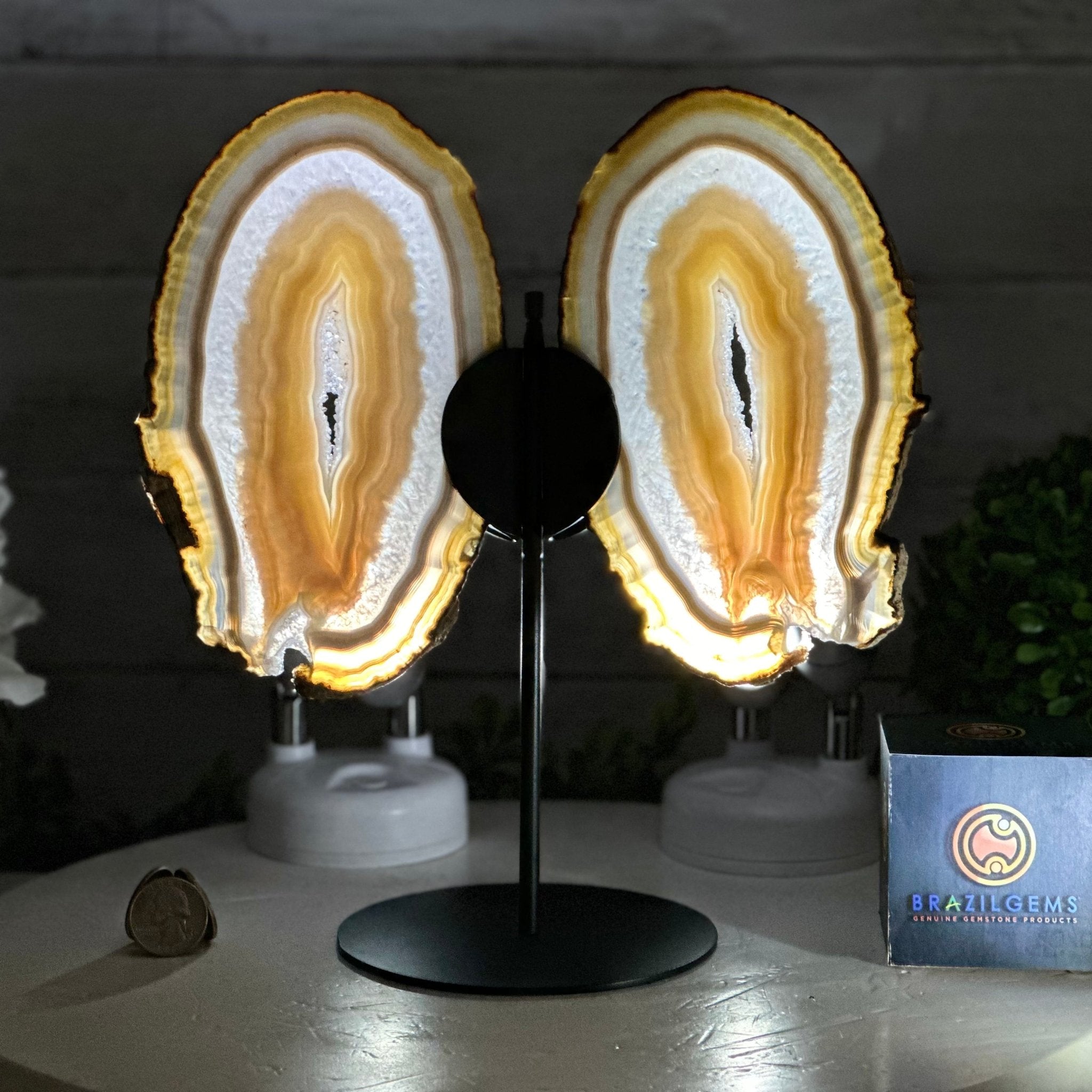 Natural Brazilian Agate "Butterfly Wings", 10.4" Tall #5050NA-118 - Brazil GemsBrazil GemsNatural Brazilian Agate "Butterfly Wings", 10.4" Tall #5050NA-118Agate Butterfly Wings5050NA-118