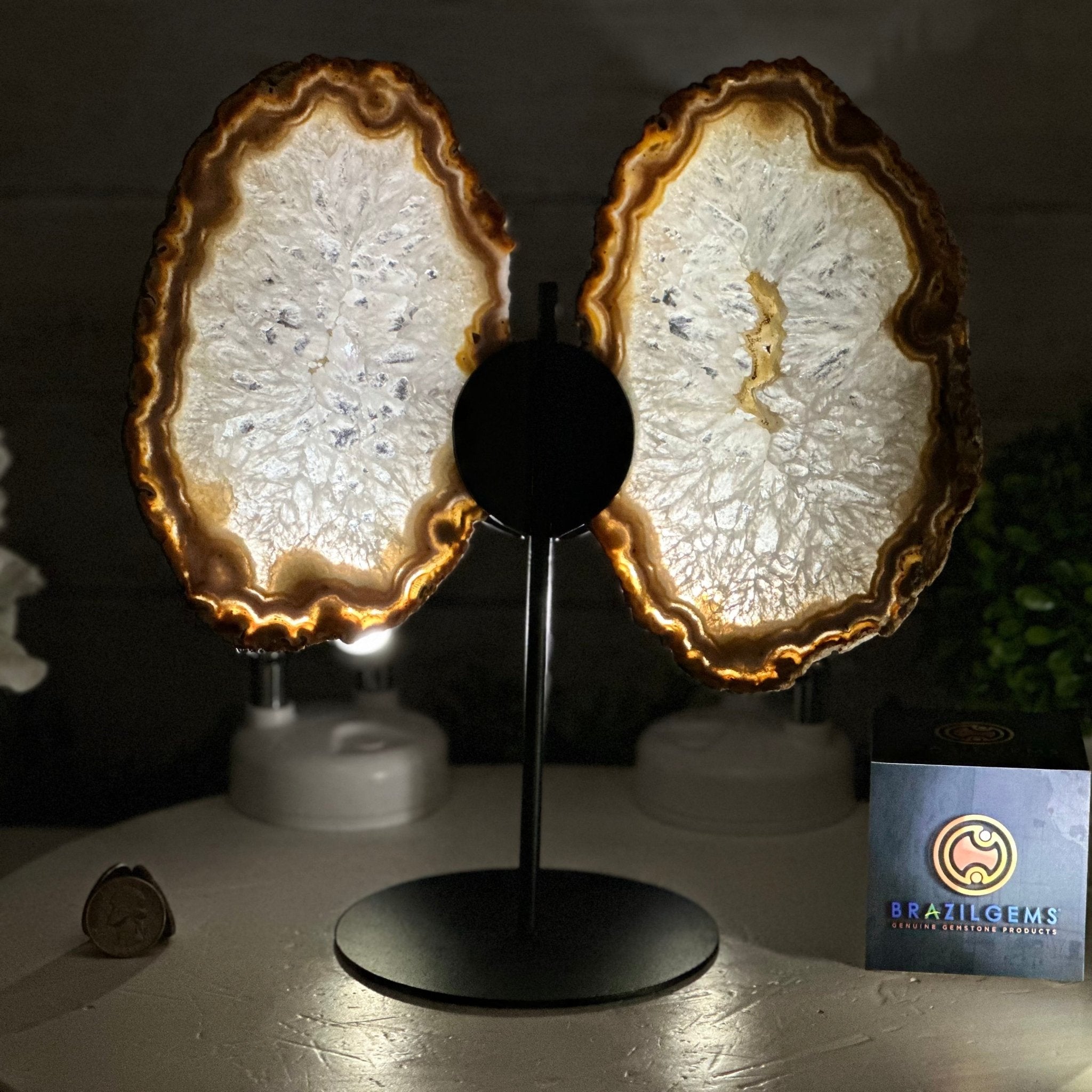 Natural Brazilian Agate "Butterfly Wings", 10.5" Tall #5050NA-126 - Brazil GemsBrazil GemsNatural Brazilian Agate "Butterfly Wings", 10.5" Tall #5050NA-126Agate Butterfly Wings5050NA-126