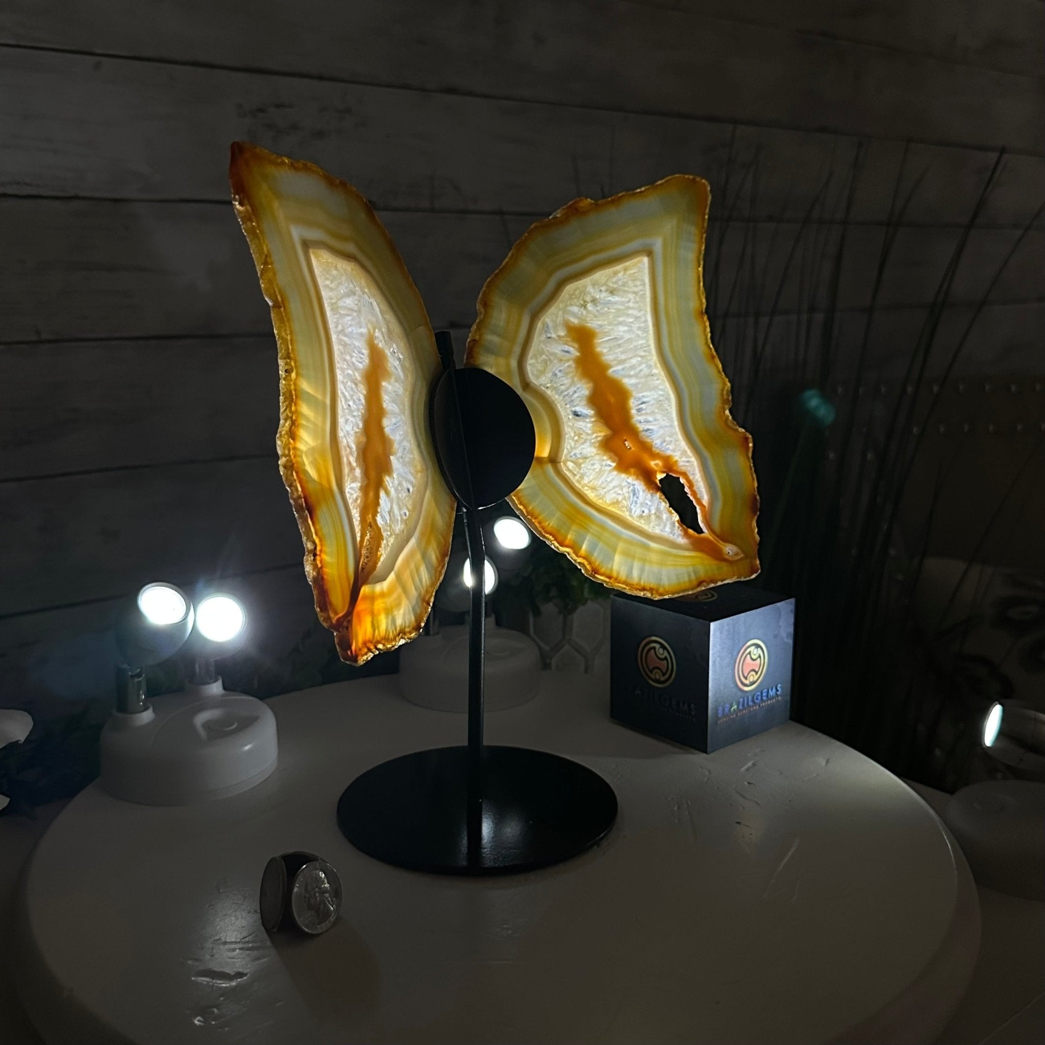 Natural Brazilian Agate "Butterfly Wings", 10.6" Tall #5050NA-122 - Brazil GemsBrazil GemsNatural Brazilian Agate "Butterfly Wings", 10.6" Tall #5050NA-122Agate Butterfly Wings5050NA-122