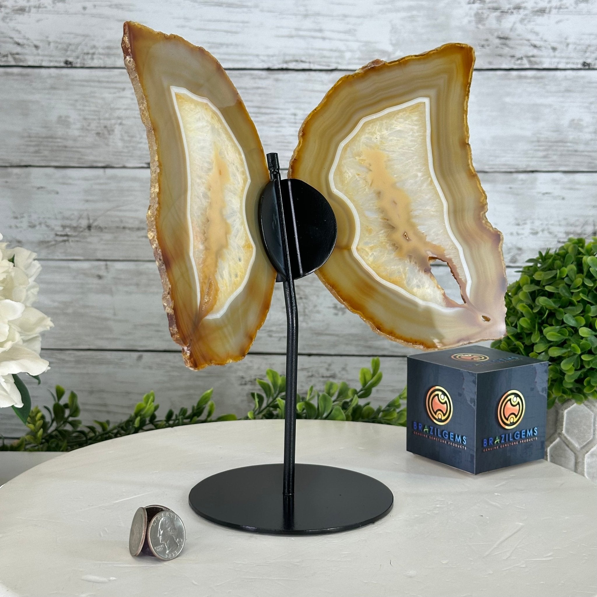 Natural Brazilian Agate "Butterfly Wings", 10.6" Tall #5050NA-122 - Brazil GemsBrazil GemsNatural Brazilian Agate "Butterfly Wings", 10.6" Tall #5050NA-122Agate Butterfly Wings5050NA-122
