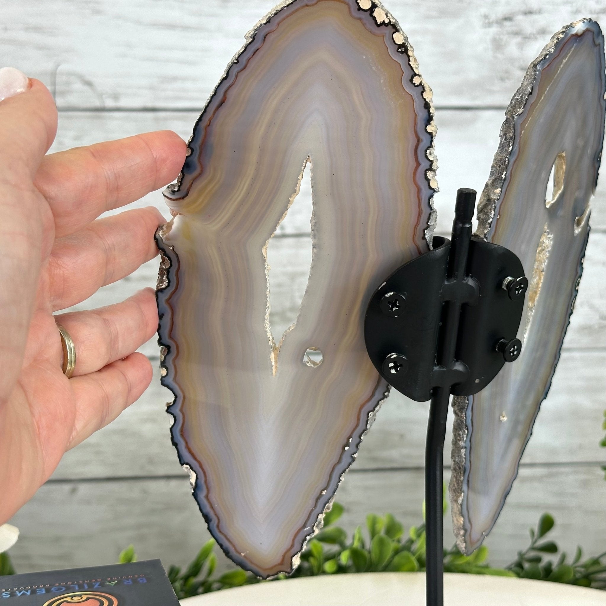 Natural Brazilian Agate "Butterfly Wings", 10.7" Tall #5050NA-117 - Brazil GemsBrazil GemsNatural Brazilian Agate "Butterfly Wings", 10.7" Tall #5050NA-117Agate Butterfly Wings5050NA-117