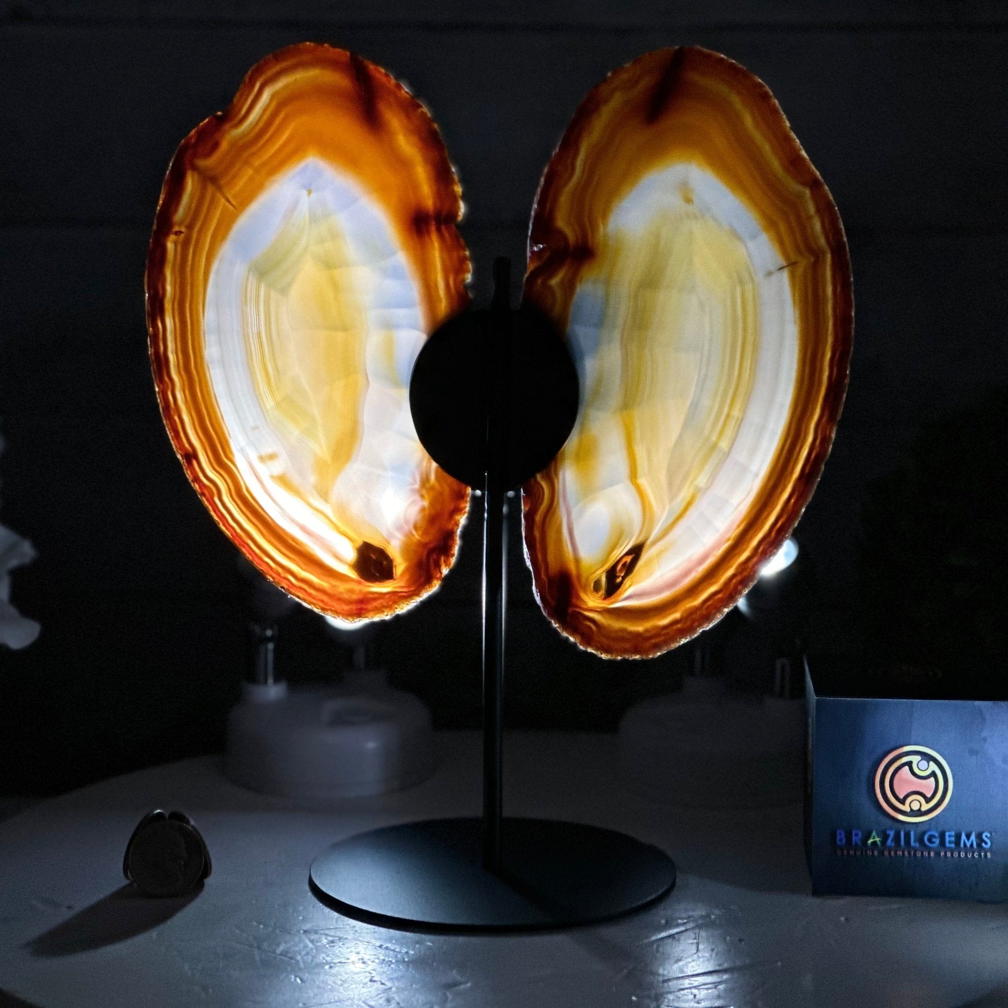 Natural Brazilian Agate "Butterfly Wings", 10.8" Tall #5050NA-120 - Brazil GemsBrazil GemsNatural Brazilian Agate "Butterfly Wings", 10.8" Tall #5050NA-120Agate Butterfly Wings5050NA-120