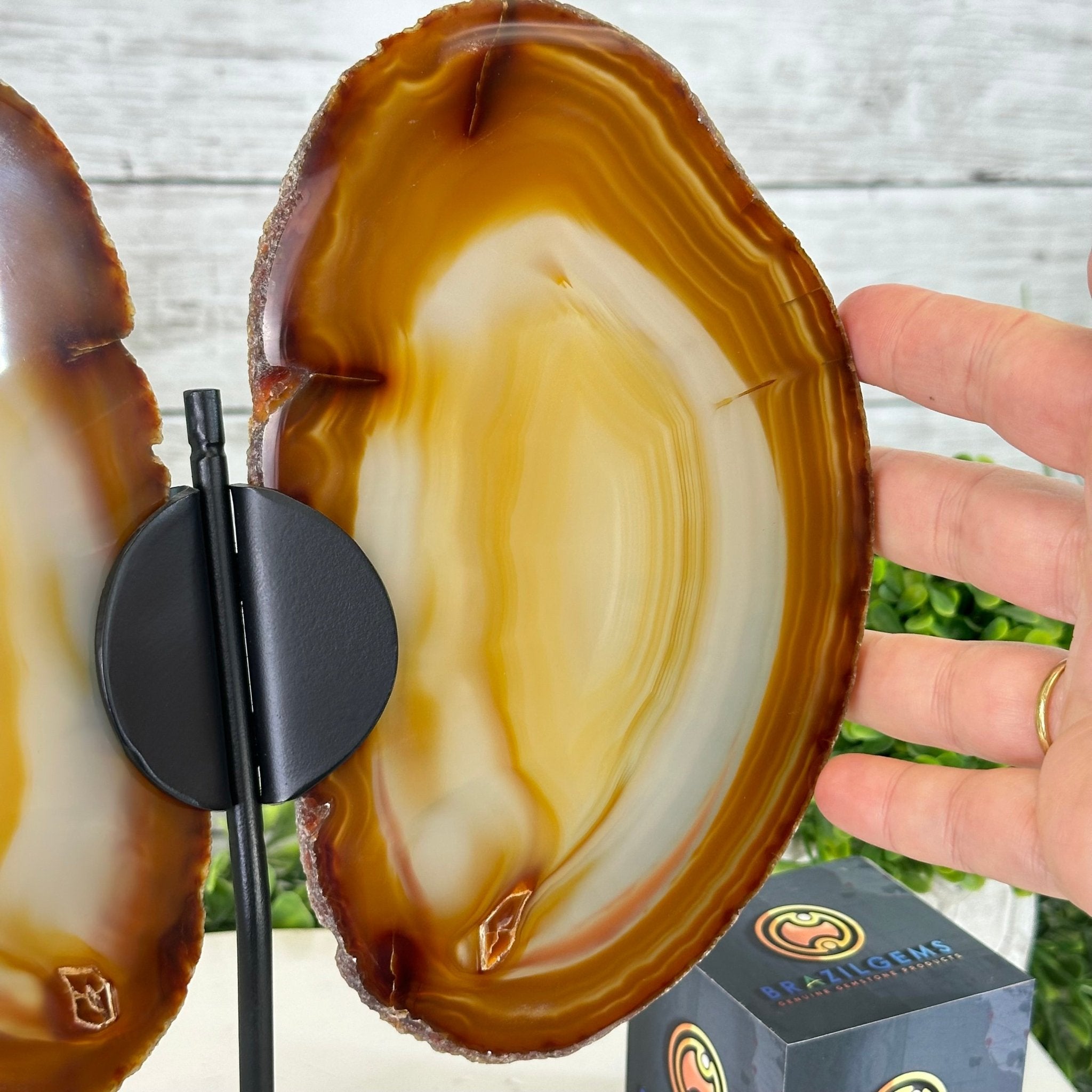 Natural Brazilian Agate "Butterfly Wings", 10.8" Tall #5050NA-120 - Brazil GemsBrazil GemsNatural Brazilian Agate "Butterfly Wings", 10.8" Tall #5050NA-120Agate Butterfly Wings5050NA-120