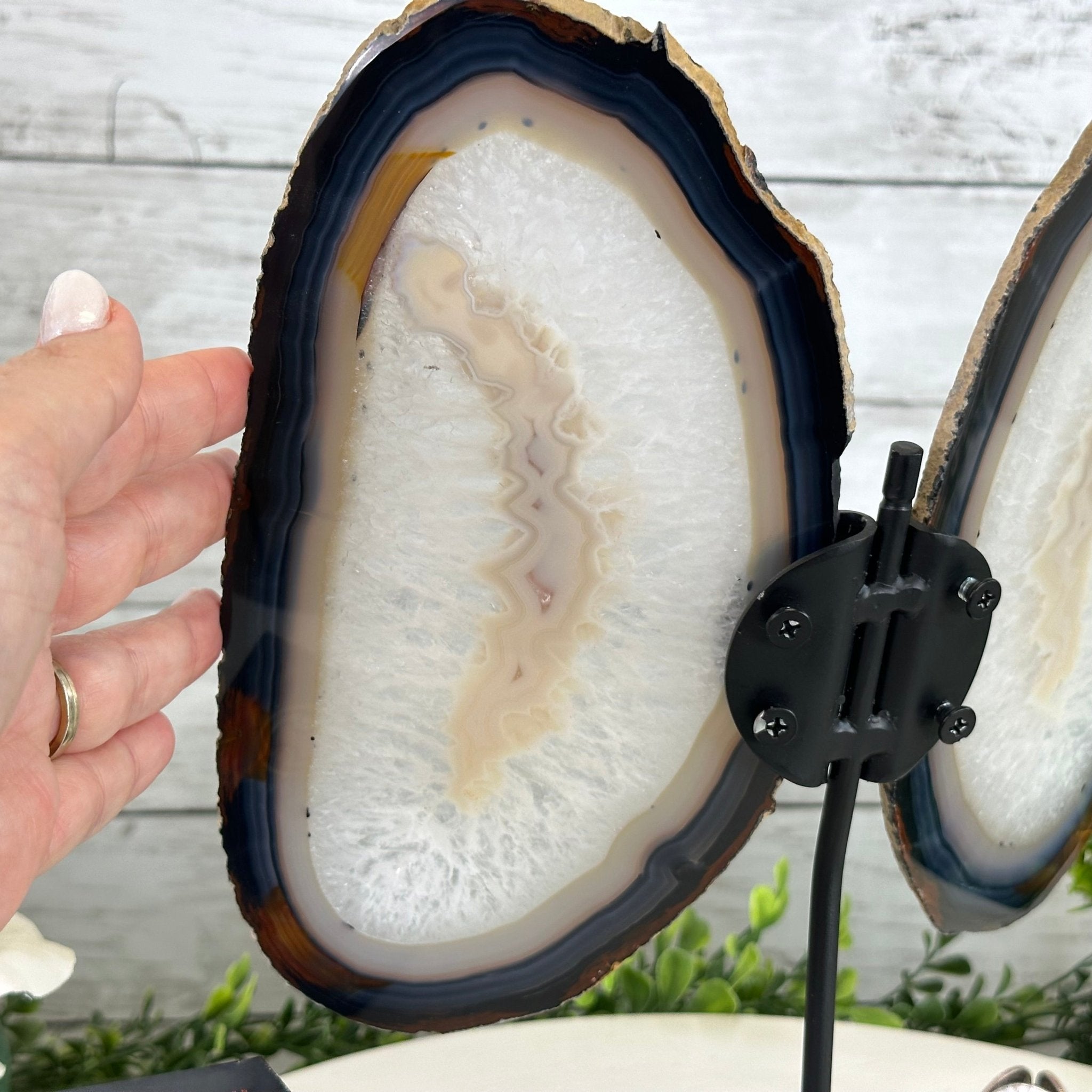 Natural Brazilian Agate "Butterfly Wings", 11.1" Tall #5050NA-131 - Brazil GemsBrazil GemsNatural Brazilian Agate "Butterfly Wings", 11.1" Tall #5050NA-131Agate Butterfly Wings5050NA-131