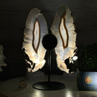 Natural Brazilian Agate "Butterfly Wings", 11.6" Tall #5050NA-125 - Brazil GemsBrazil GemsNatural Brazilian Agate "Butterfly Wings", 11.6" Tall #5050NA-125Agate Butterfly Wings5050NA-125
