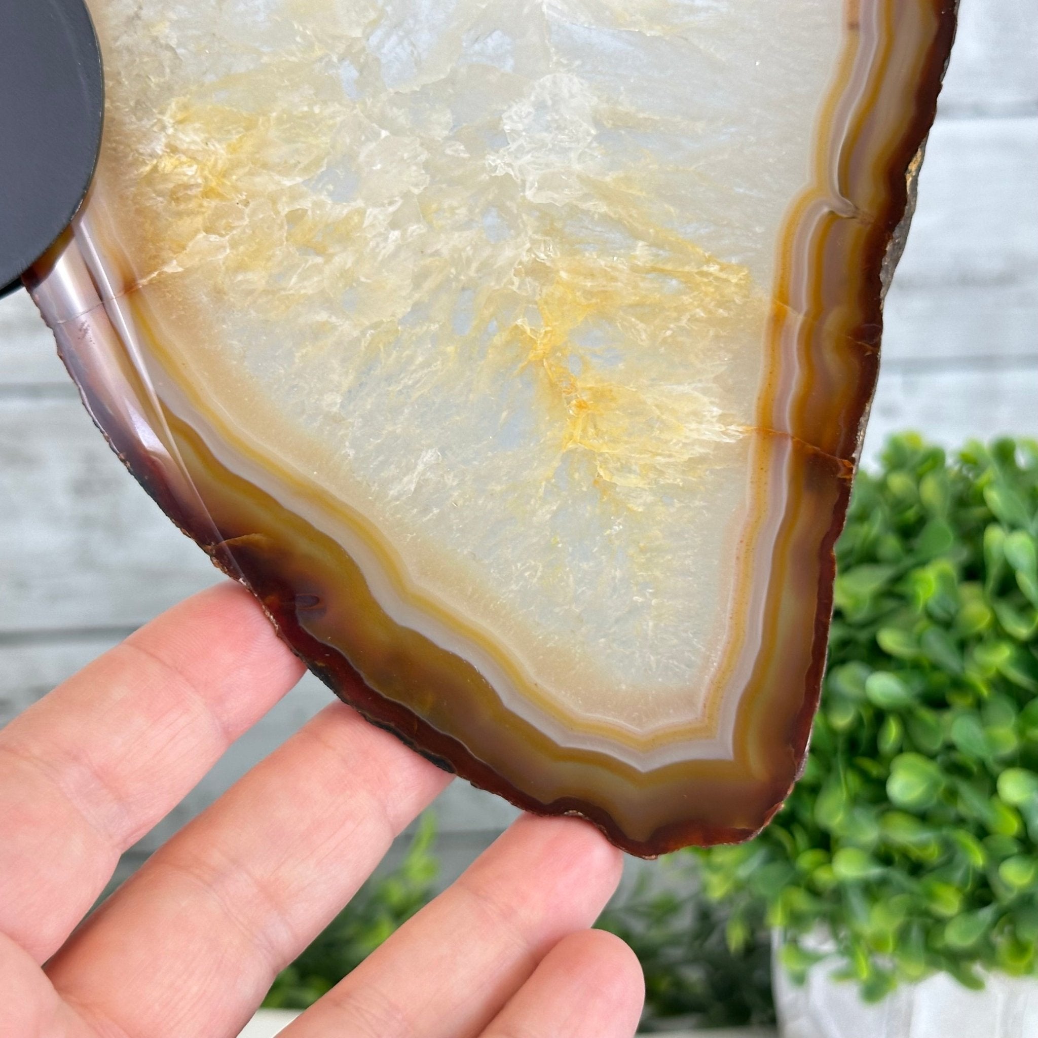 Natural Brazilian Agate "Butterfly Wings", 14.2" Tall #5050NA-080 - Brazil GemsBrazil GemsNatural Brazilian Agate "Butterfly Wings", 14.2" Tall #5050NA-080Agate Butterfly Wings5050NA-080