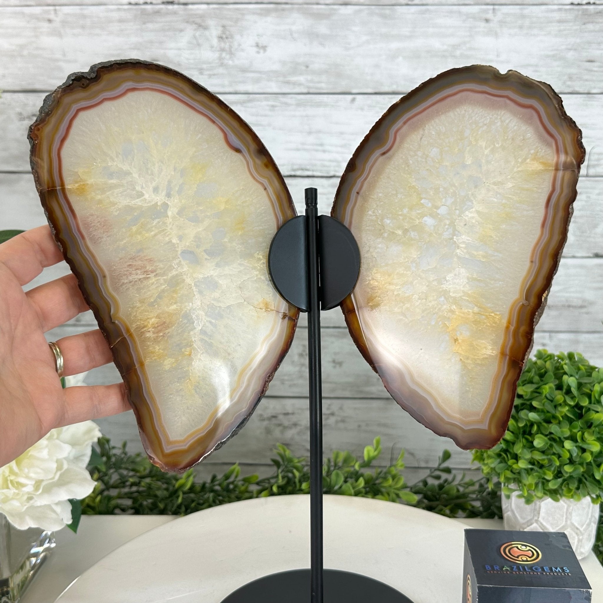 Natural Brazilian Agate "Butterfly Wings", 14.2" Tall #5050NA-080 - Brazil GemsBrazil GemsNatural Brazilian Agate "Butterfly Wings", 14.2" Tall #5050NA-080Agate Butterfly Wings5050NA-080