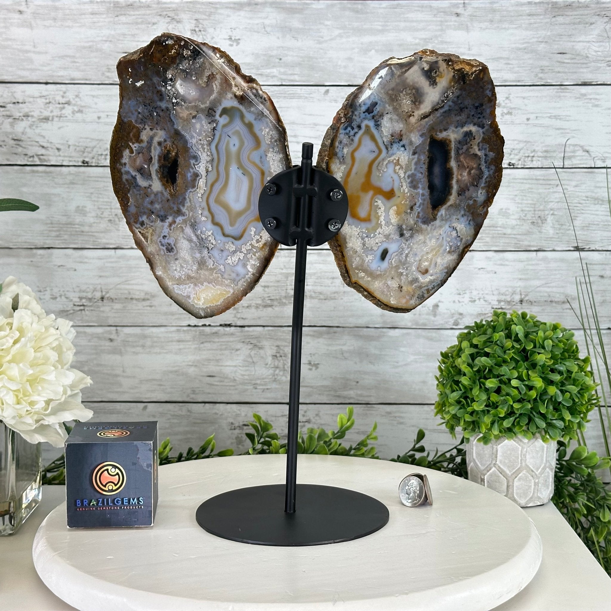 Natural Brazilian Agate "Butterfly Wings", 14.25" Tall #5050NA-079 - Brazil GemsBrazil GemsNatural Brazilian Agate "Butterfly Wings", 14.25" Tall #5050NA-079Agate Butterfly Wings5050NA-079