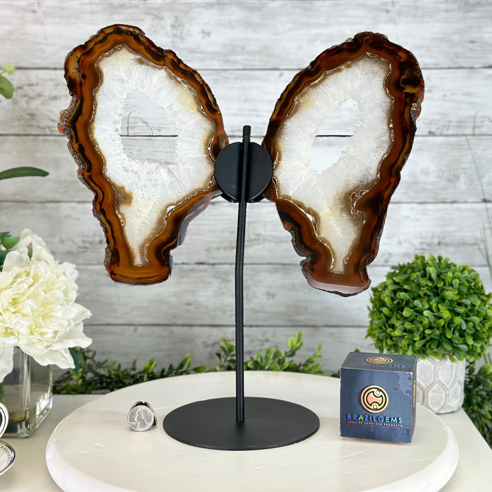 Natural Brazilian Agate "Butterfly Wings", 15" Tall #5050NA-081 - Brazil GemsBrazil GemsNatural Brazilian Agate "Butterfly Wings", 15" Tall #5050NA-081Agate Butterfly Wings5050NA-081