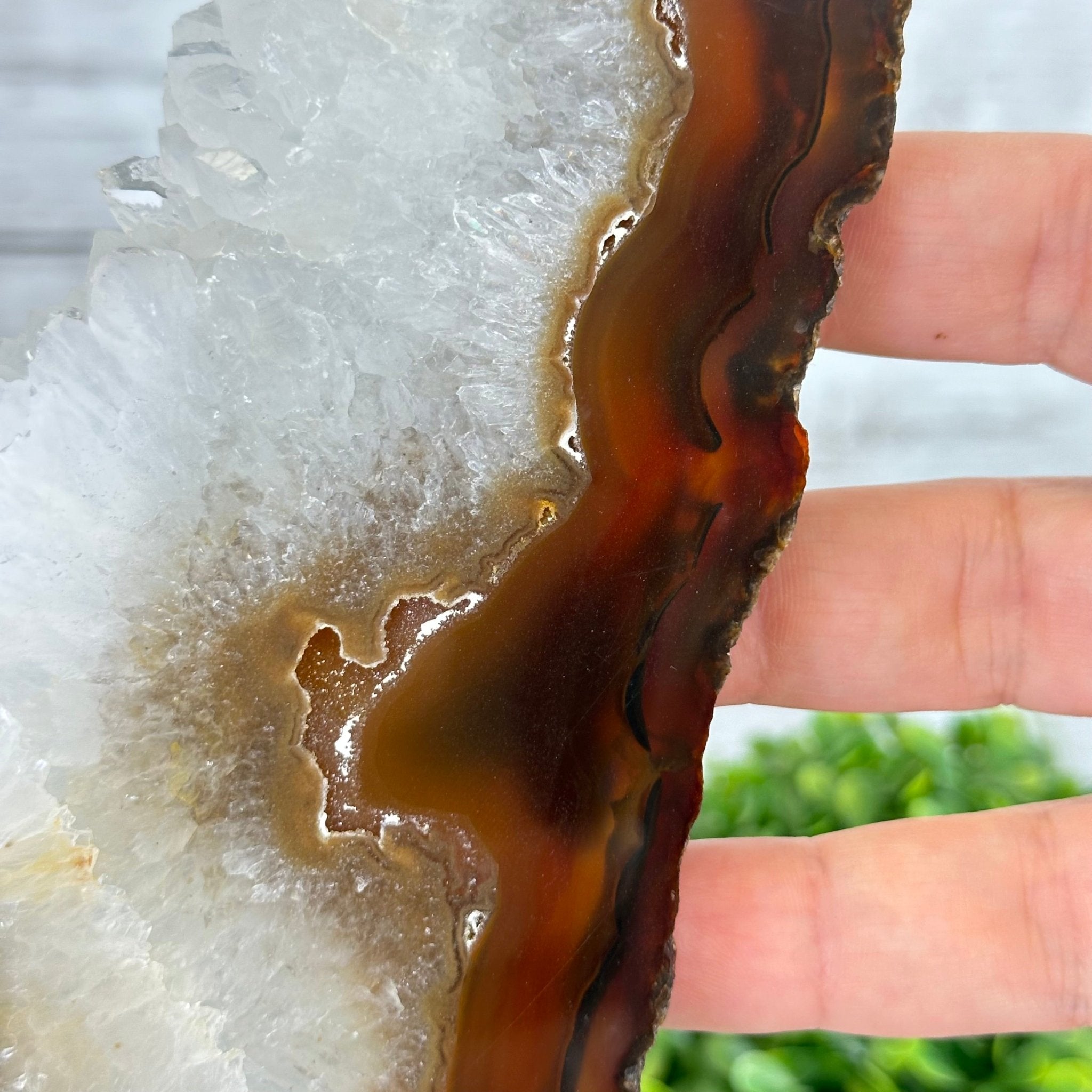 Natural Brazilian Agate "Butterfly Wings", 15" Tall #5050NA-081 - Brazil GemsBrazil GemsNatural Brazilian Agate "Butterfly Wings", 15" Tall #5050NA-081Agate Butterfly Wings5050NA-081