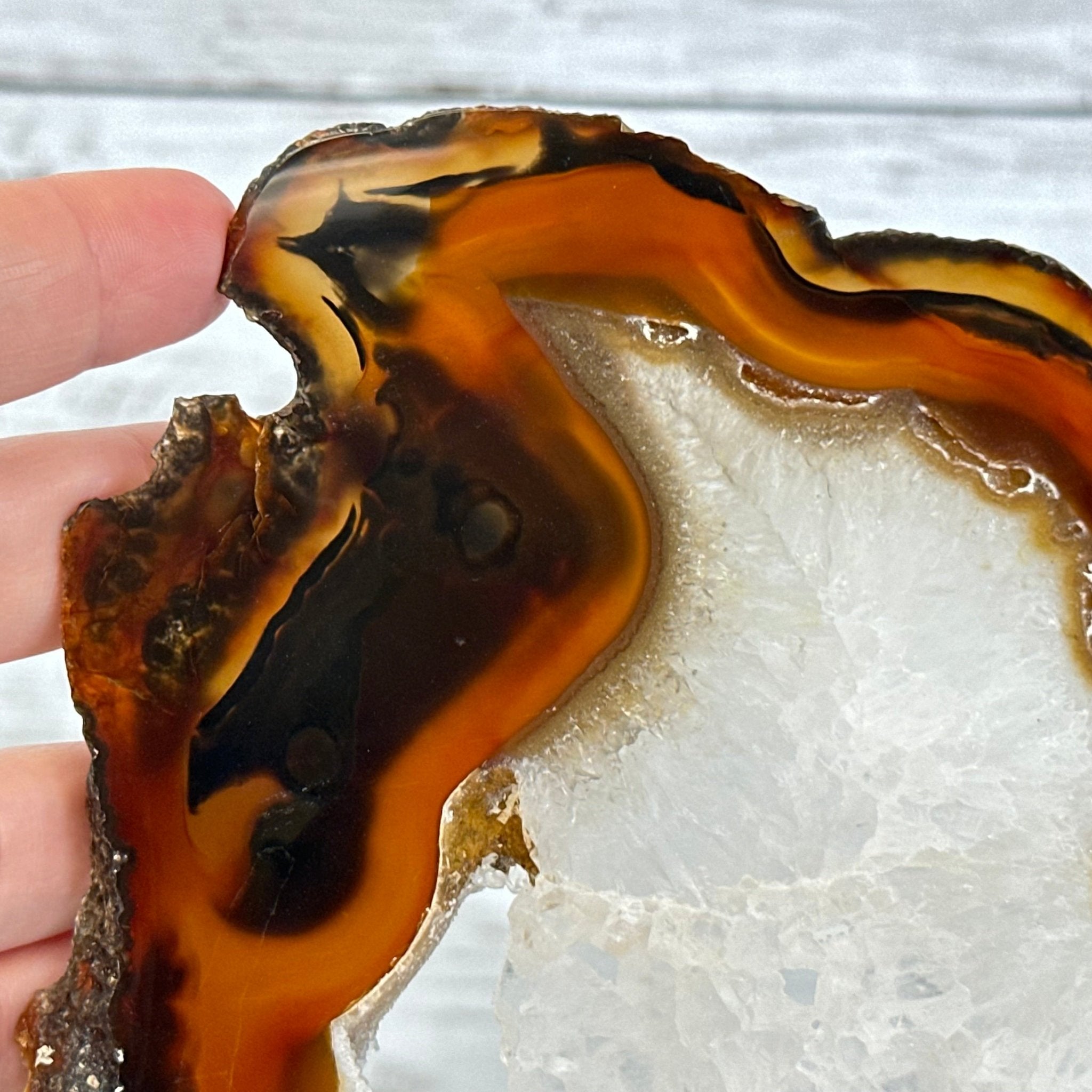 Natural Brazilian Agate "Butterfly Wings", 15" Tall #5050NA-083 - Brazil GemsBrazil GemsNatural Brazilian Agate "Butterfly Wings", 15" Tall #5050NA-083Agate Butterfly Wings5050NA-083