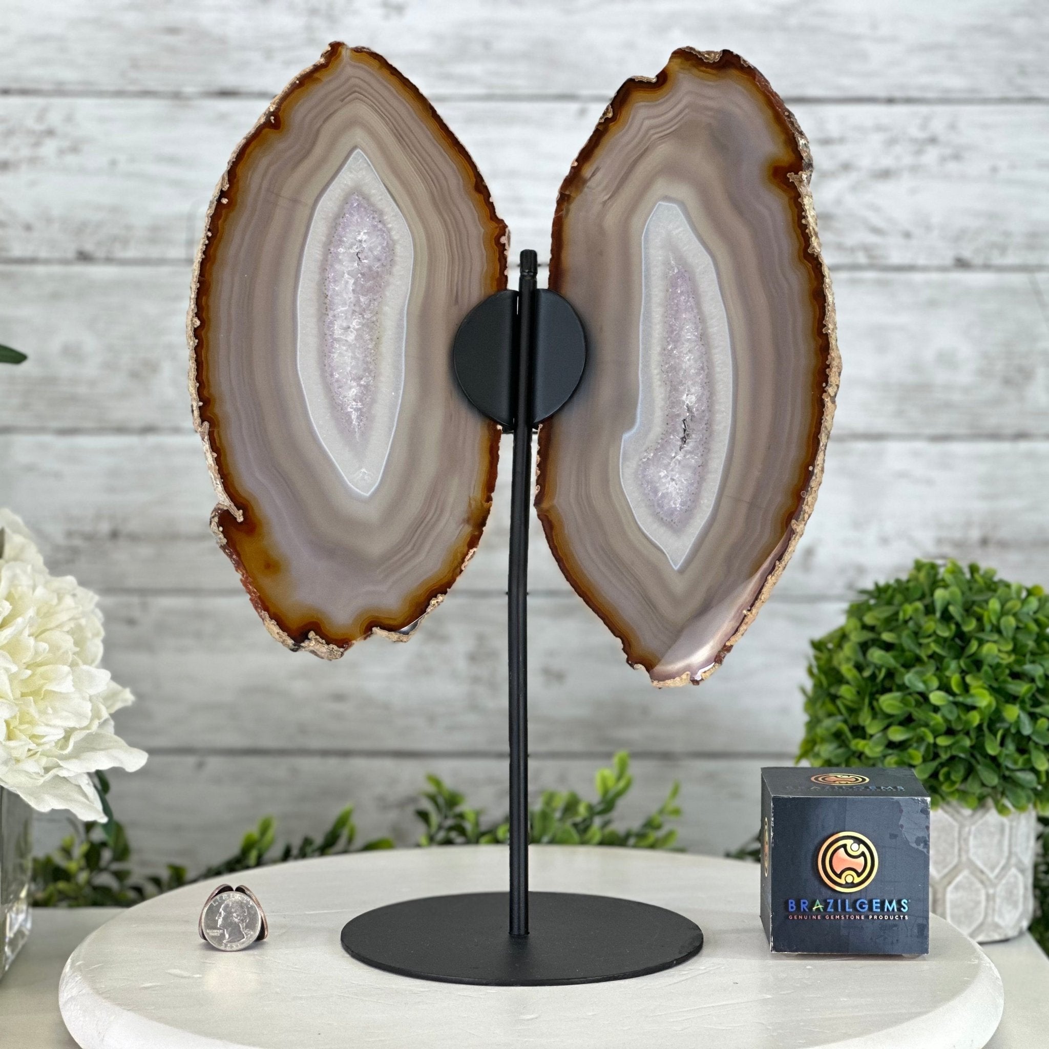 Natural Brazilian Agate "Butterfly Wings", 15" Tall #5050NA-085 - Brazil GemsBrazil GemsNatural Brazilian Agate "Butterfly Wings", 15" Tall #5050NA-085Agate Butterfly Wings5050NA-085