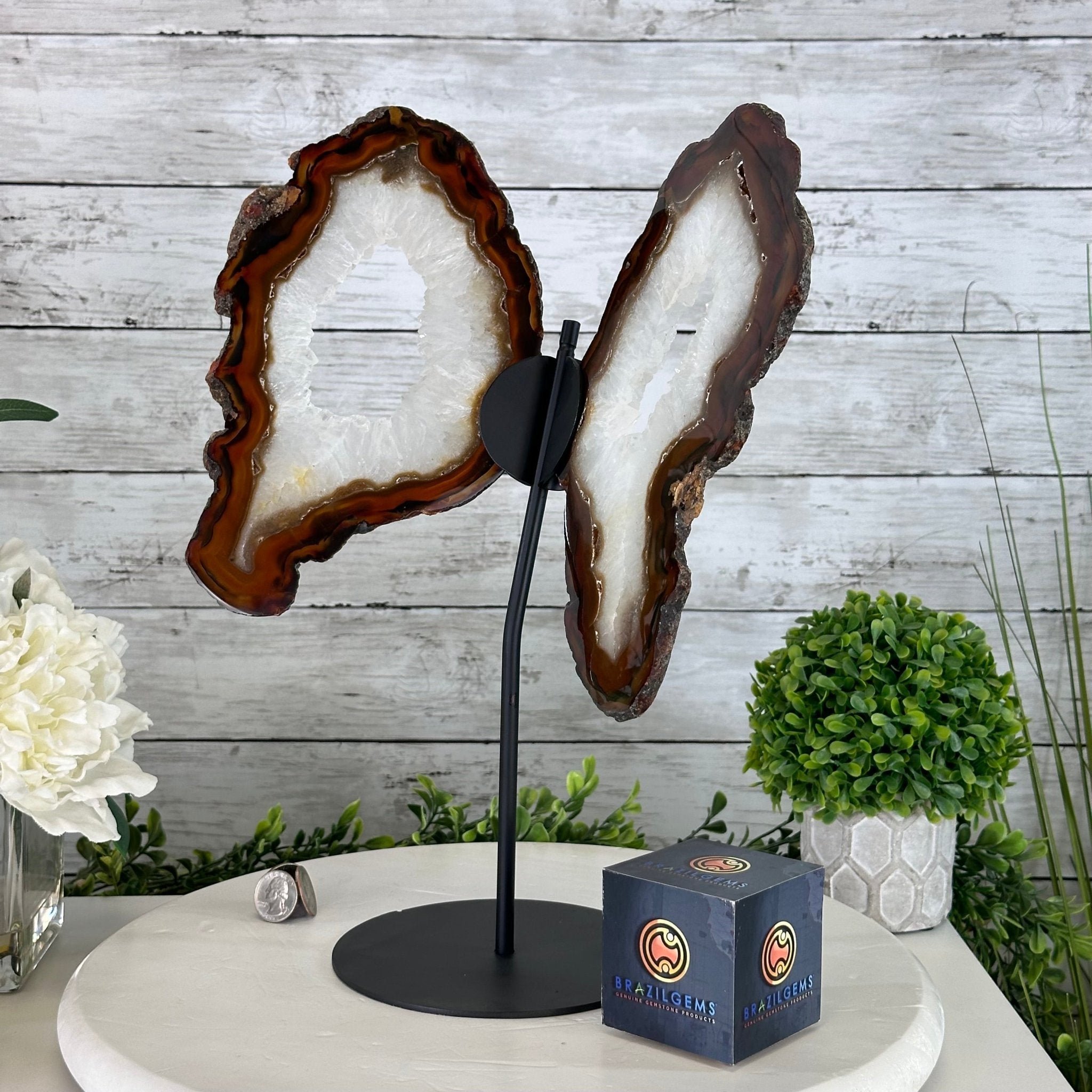 Natural Brazilian Agate "Butterfly Wings", 15" Tall #5050NA-086 - Brazil GemsBrazil GemsNatural Brazilian Agate "Butterfly Wings", 15" Tall #5050NA-086Agate Butterfly Wings5050NA-086