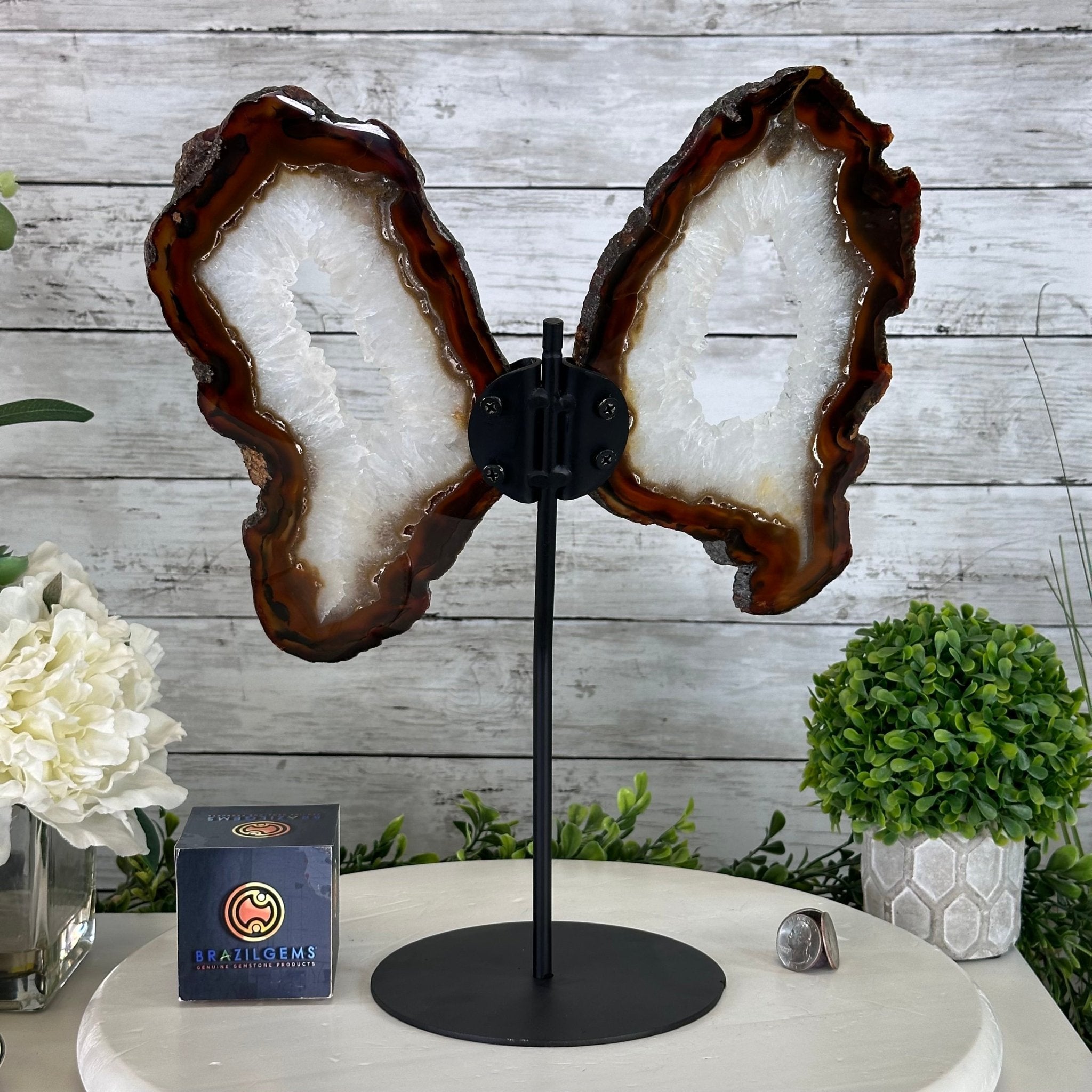 Natural Brazilian Agate "Butterfly Wings", 15" Tall #5050NA-086 - Brazil GemsBrazil GemsNatural Brazilian Agate "Butterfly Wings", 15" Tall #5050NA-086Agate Butterfly Wings5050NA-086