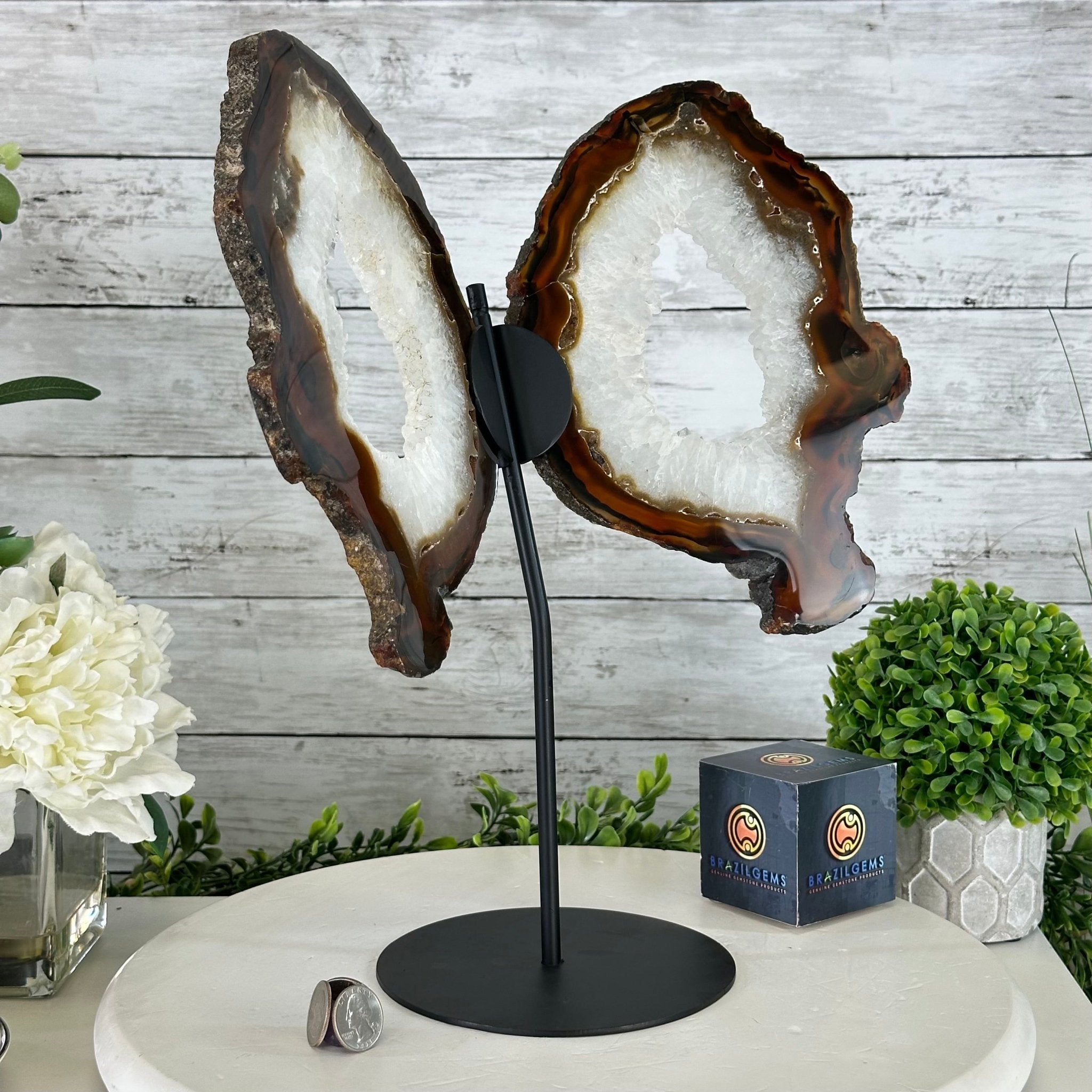 Natural Brazilian Agate "Butterfly Wings", 15" Tall #5050NA-087 - Brazil GemsBrazil GemsNatural Brazilian Agate "Butterfly Wings", 15" Tall #5050NA-087Agate Butterfly Wings5050NA-087