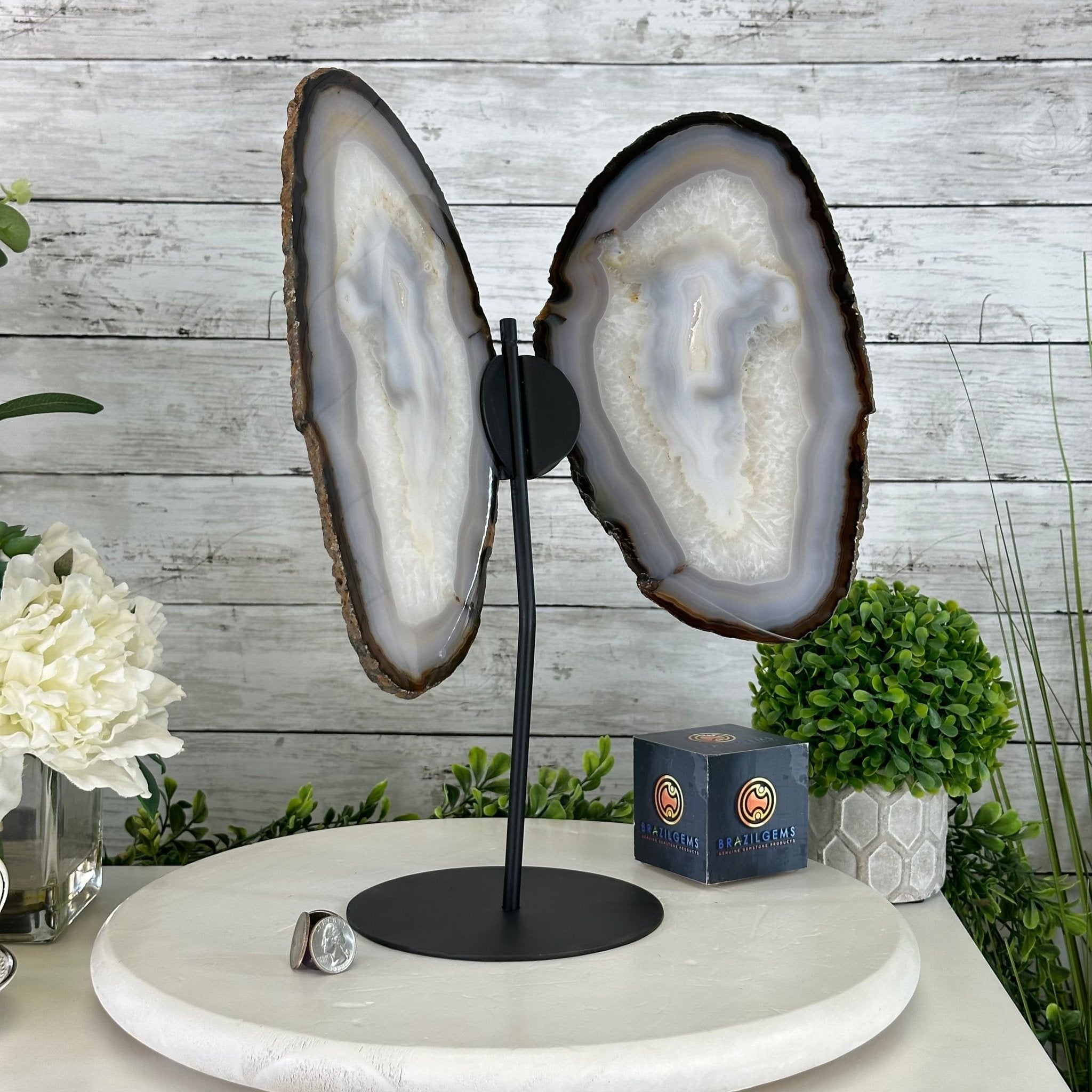 Natural Brazilian Agate "Butterfly Wings", 15.4" Tall #5050NA-100 - Brazil GemsBrazil GemsNatural Brazilian Agate "Butterfly Wings", 15.4" Tall #5050NA-100Agate Butterfly Wings5050NA-100