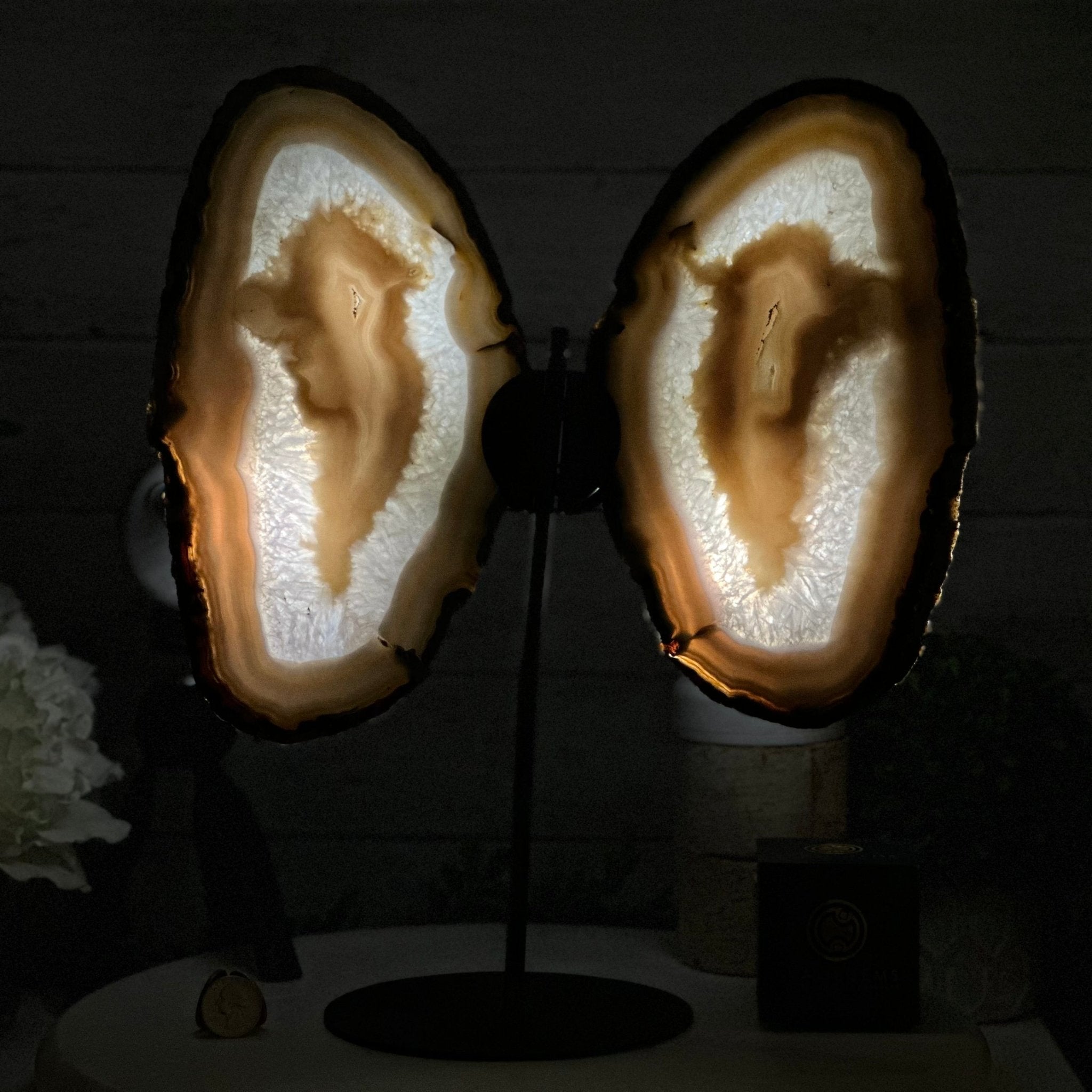 Natural Brazilian Agate "Butterfly Wings", 15.4" Tall #5050NA-100 - Brazil GemsBrazil GemsNatural Brazilian Agate "Butterfly Wings", 15.4" Tall #5050NA-100Agate Butterfly Wings5050NA-100