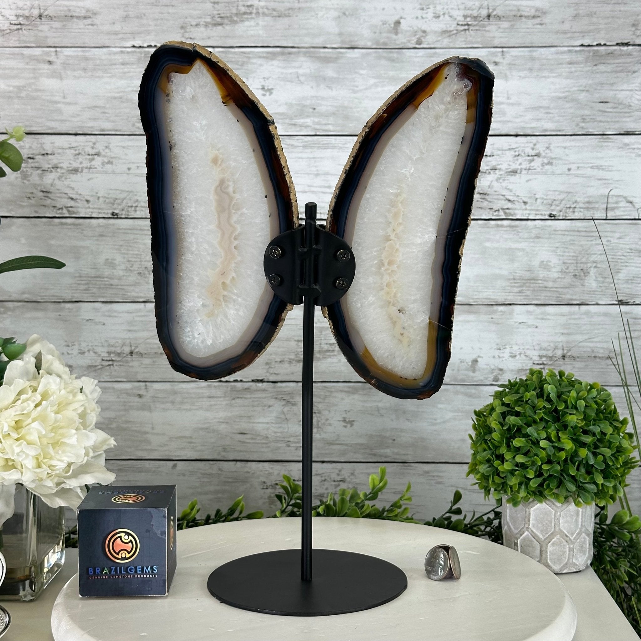Natural Brazilian Agate "Butterfly Wings", 15.75" Tall #5050NA-084 - Brazil GemsBrazil GemsNatural Brazilian Agate "Butterfly Wings", 15.75" Tall #5050NA-084Agate Butterfly Wings5050NA-084