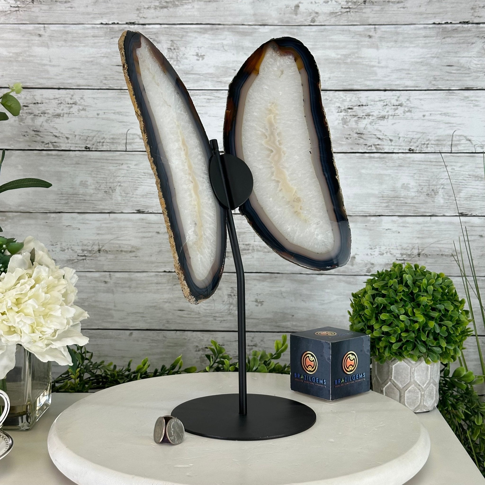 Natural Brazilian Agate "Butterfly Wings", 15.75" Tall #5050NA-084 - Brazil GemsBrazil GemsNatural Brazilian Agate "Butterfly Wings", 15.75" Tall #5050NA-084Agate Butterfly Wings5050NA-084