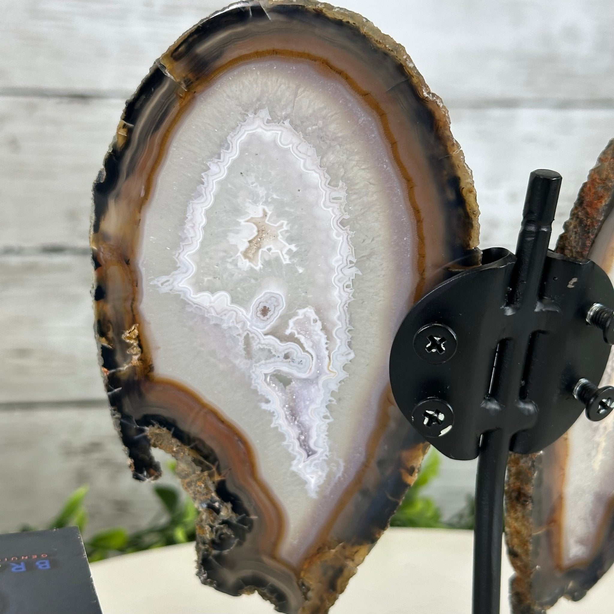 Natural Brazilian Agate "Butterfly Wings", 7.6" Tall #5050NA-136 - Brazil GemsBrazil GemsNatural Brazilian Agate "Butterfly Wings", 7.6" Tall #5050NA-136Agate Butterfly Wings5050NA-136