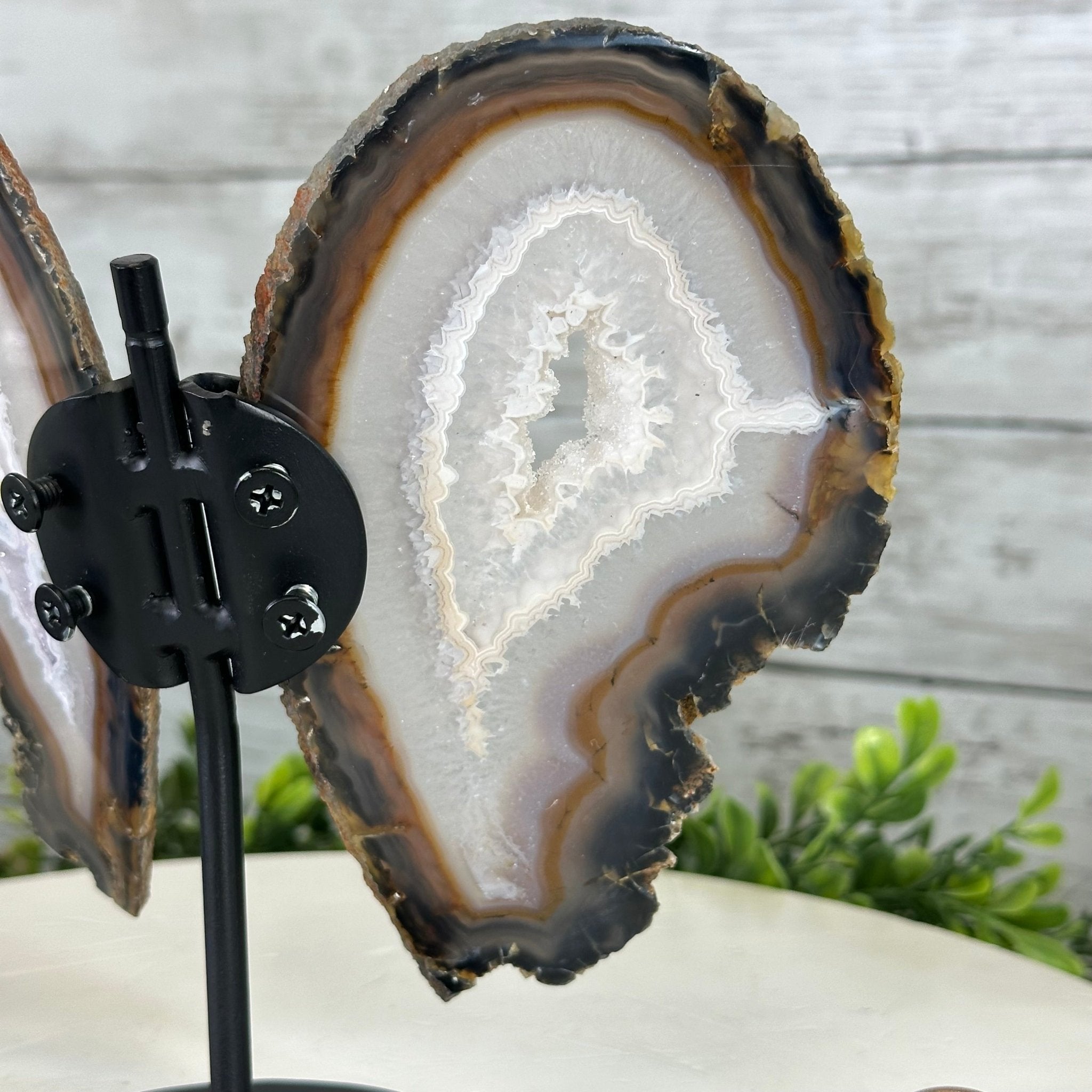 Natural Brazilian Agate "Butterfly Wings", 7.6" Tall #5050NA-136 - Brazil GemsBrazil GemsNatural Brazilian Agate "Butterfly Wings", 7.6" Tall #5050NA-136Agate Butterfly Wings5050NA-136