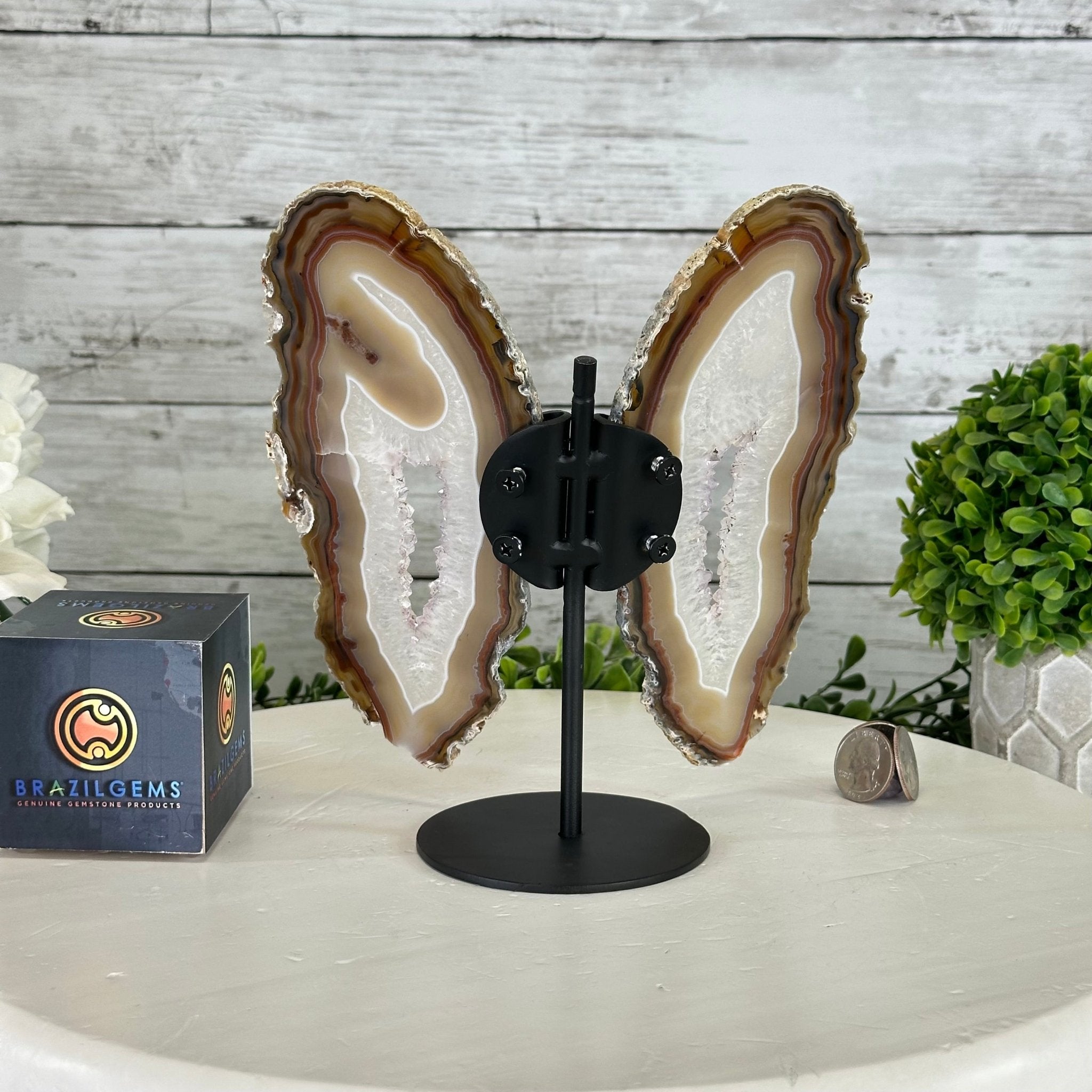 Natural Brazilian Agate "Butterfly Wings", 7.9" Tall #5050NA-138 - Brazil GemsBrazil GemsNatural Brazilian Agate "Butterfly Wings", 7.9" Tall #5050NA-138Agate Butterfly Wings5050NA-138