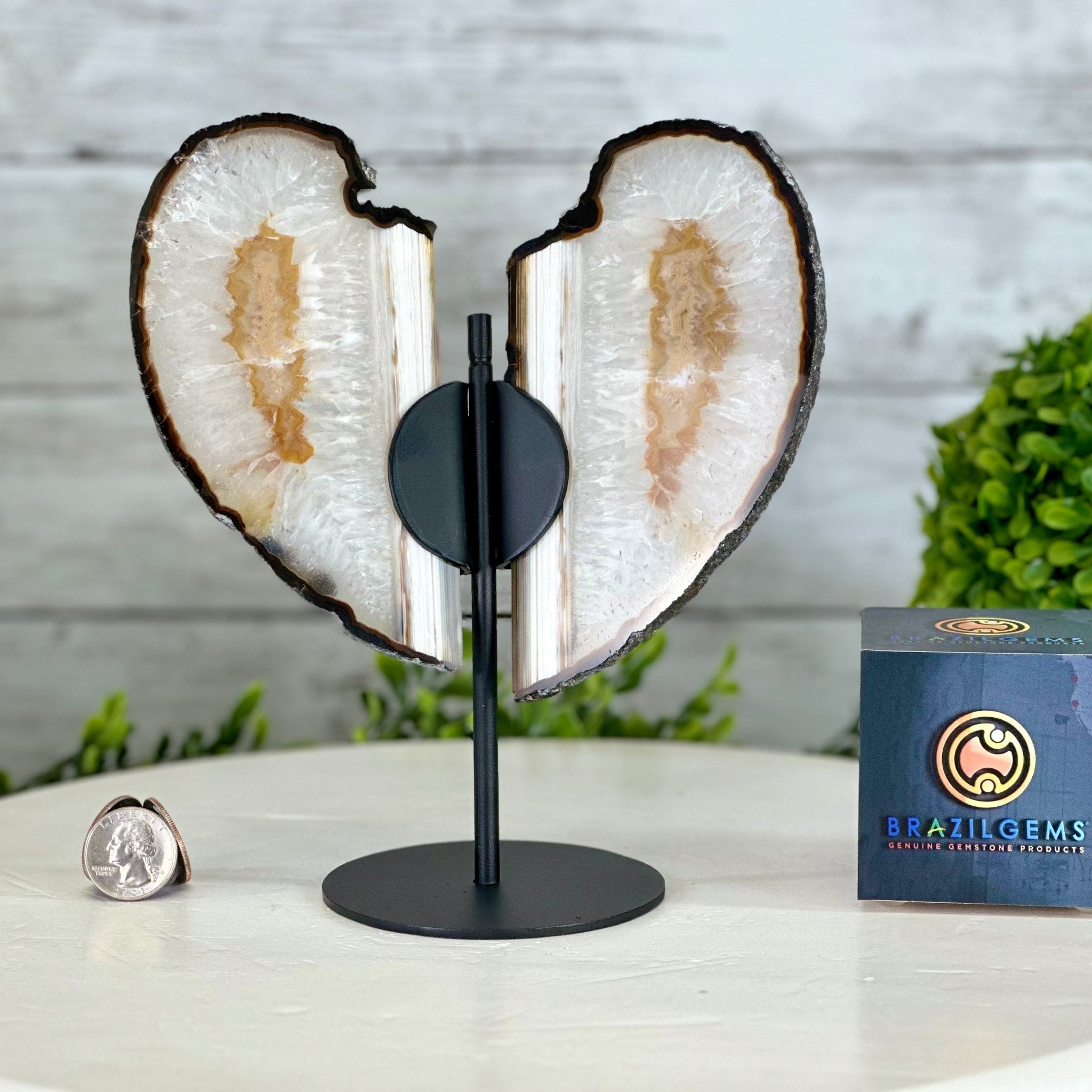 Natural Brazilian Agate "Butterfly Wings", 8" Tall #5050NA-135 - Brazil GemsBrazil GemsNatural Brazilian Agate "Butterfly Wings", 8" Tall #5050NA-135Agate Butterfly Wings5050NA-135
