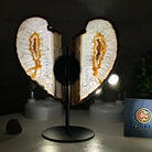 Natural Brazilian Agate "Butterfly Wings", 8" Tall #5050NA-135 - Brazil GemsBrazil GemsNatural Brazilian Agate "Butterfly Wings", 8" Tall #5050NA-135Agate Butterfly Wings5050NA-135
