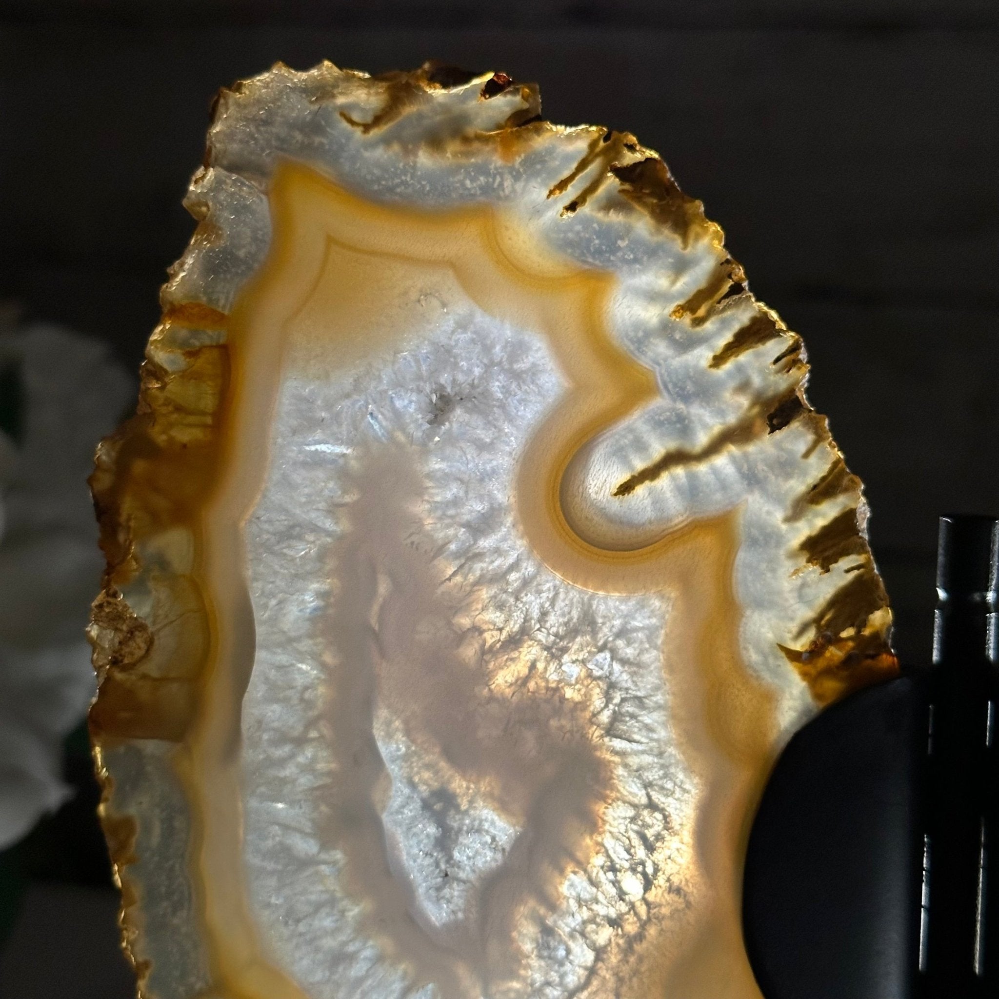 Natural Brazilian Agate "Butterfly Wings", 8" Tall #5050NA-145 - Brazil GemsBrazil GemsNatural Brazilian Agate "Butterfly Wings", 8" Tall #5050NA-145Agate Butterfly Wings5050NA-145