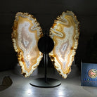 Natural Brazilian Agate "Butterfly Wings", 8" Tall #5050NA-145 - Brazil GemsBrazil GemsNatural Brazilian Agate "Butterfly Wings", 8" Tall #5050NA-145Agate Butterfly Wings5050NA-145