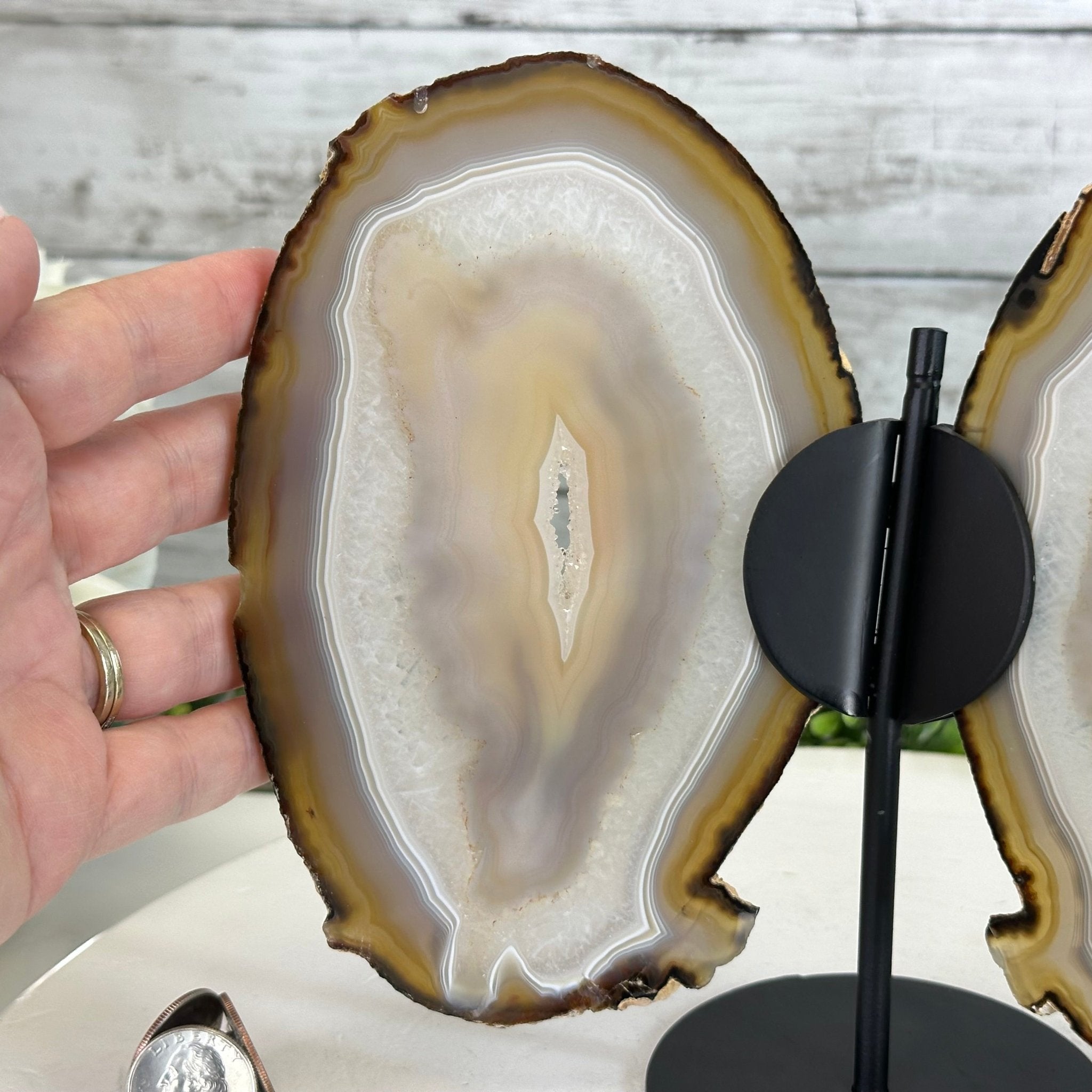 Natural Brazilian Agate "Butterfly Wings", 8" Tall #5050NA-146 - Brazil GemsBrazil GemsNatural Brazilian Agate "Butterfly Wings", 8" Tall #5050NA-146Agate Butterfly Wings5050NA-146