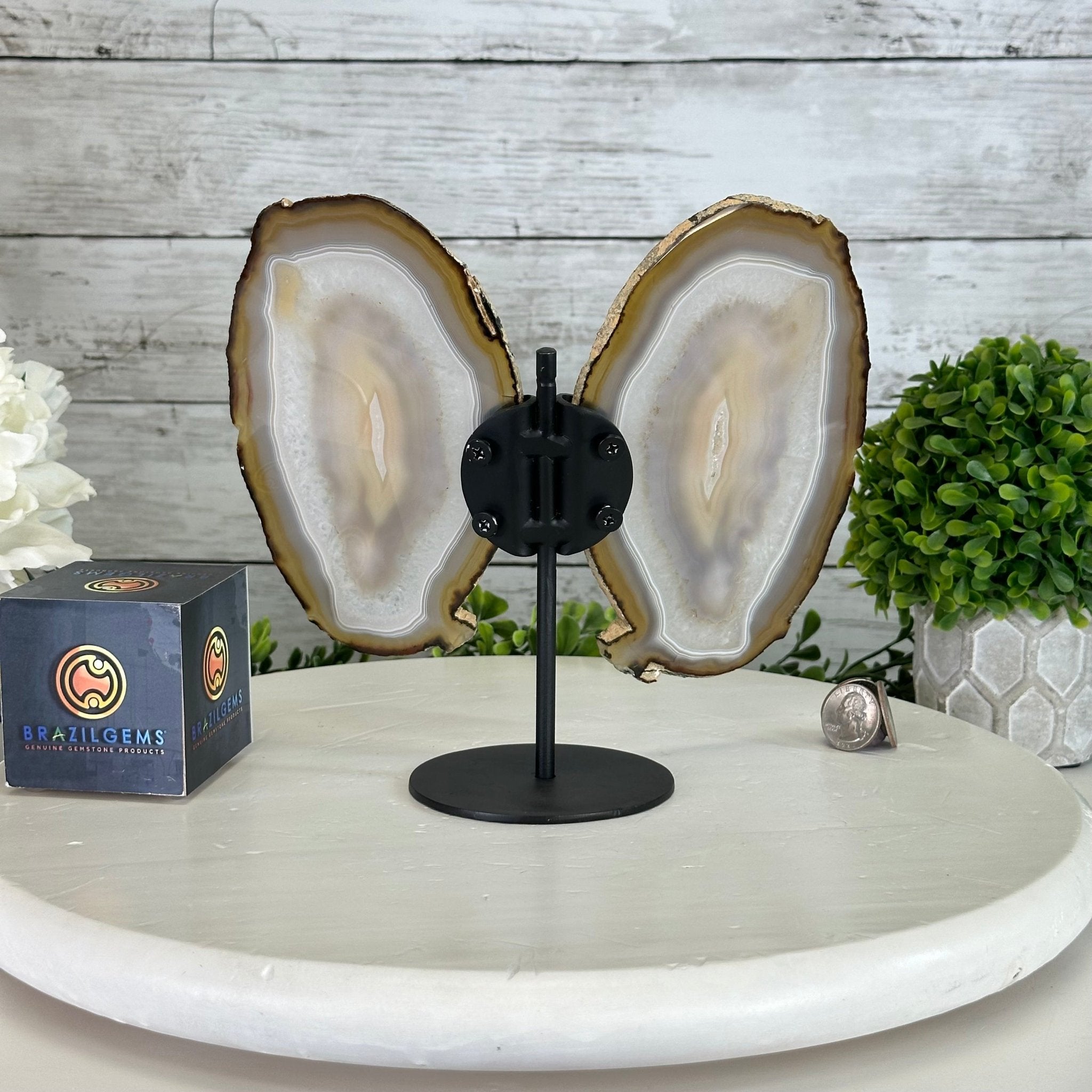 Natural Brazilian Agate "Butterfly Wings", 8" Tall #5050NA-146 - Brazil GemsBrazil GemsNatural Brazilian Agate "Butterfly Wings", 8" Tall #5050NA-146Agate Butterfly Wings5050NA-146