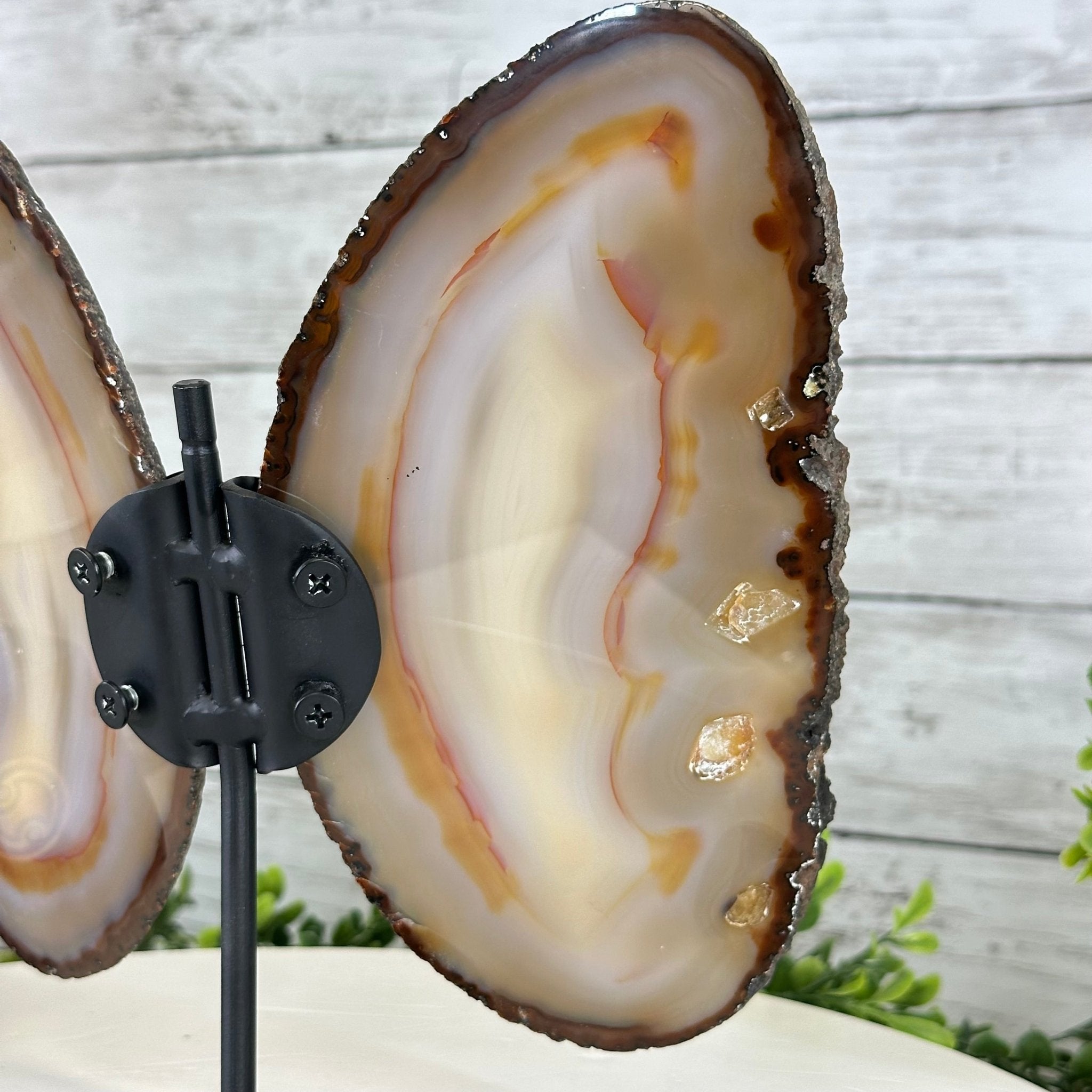 Natural Brazilian Agate "Butterfly Wings", 8.4" Tall #5050NA-108 - Brazil GemsBrazil GemsNatural Brazilian Agate "Butterfly Wings", 8.4" Tall #5050NA-108Agate Butterfly Wings5050NA-108