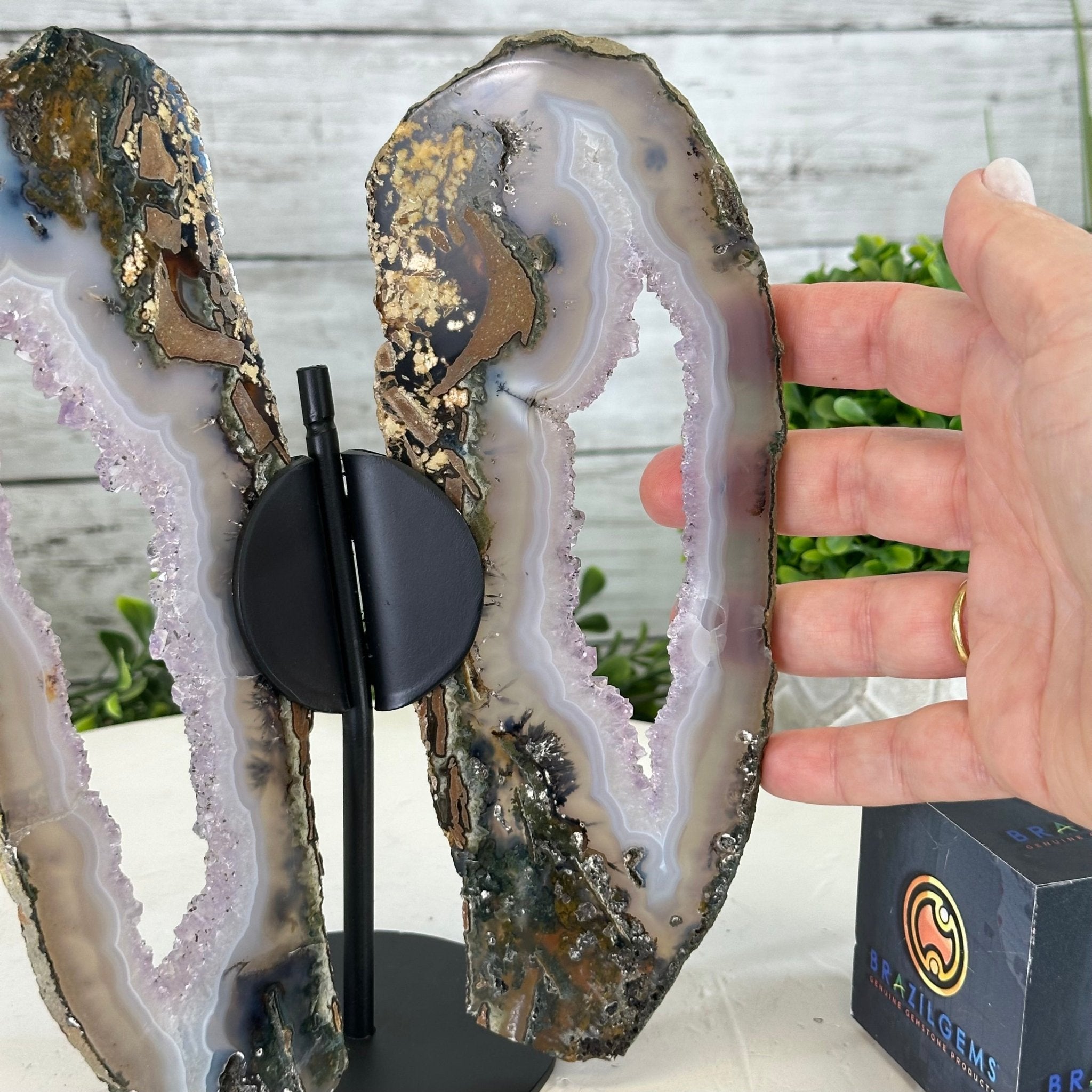 Natural Brazilian Agate "Butterfly Wings", 8.8" Tall #5050NA-104 - Brazil GemsBrazil GemsNatural Brazilian Agate "Butterfly Wings", 8.8" Tall #5050NA-104Agate Butterfly Wings5050NA-104