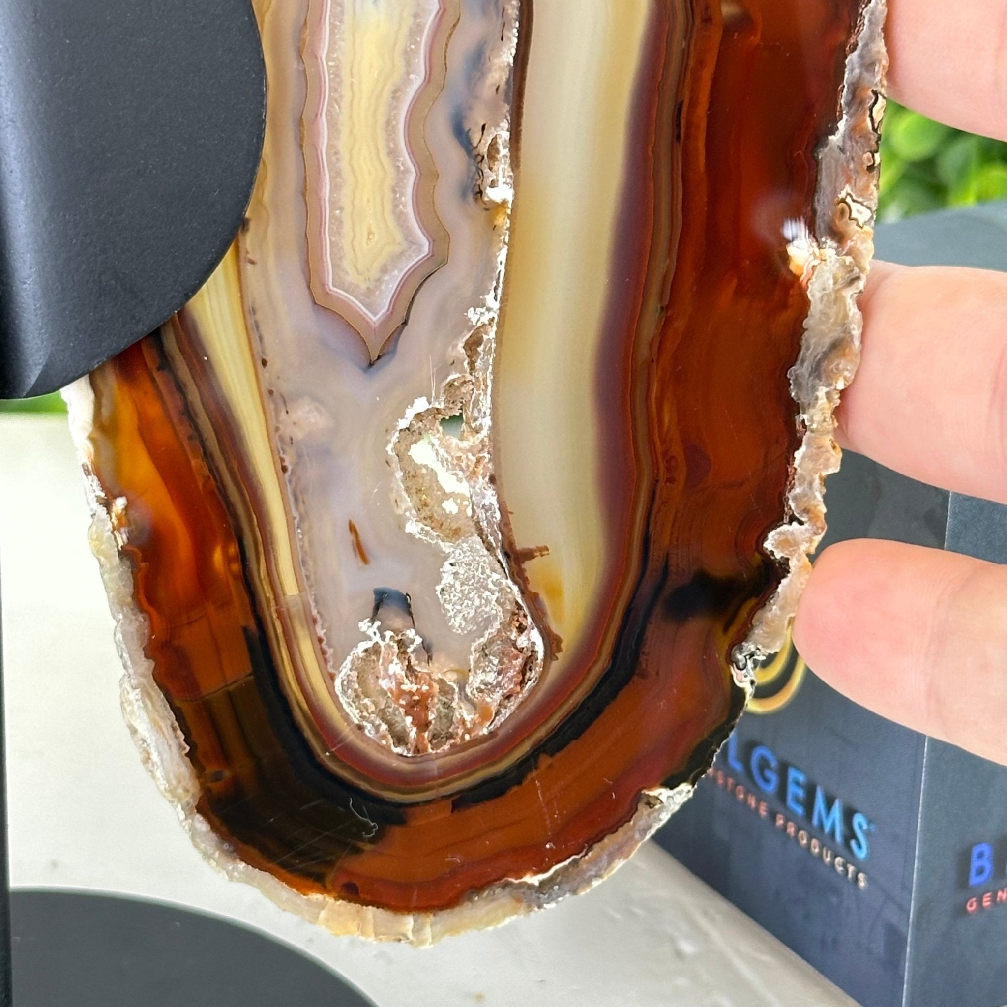 Natural Brazilian Agate "Butterfly Wings", 8.9" Tall #5050NA-147 - Brazil GemsBrazil GemsNatural Brazilian Agate "Butterfly Wings", 8.9" Tall #5050NA-147Agate Butterfly Wings5050NA-147